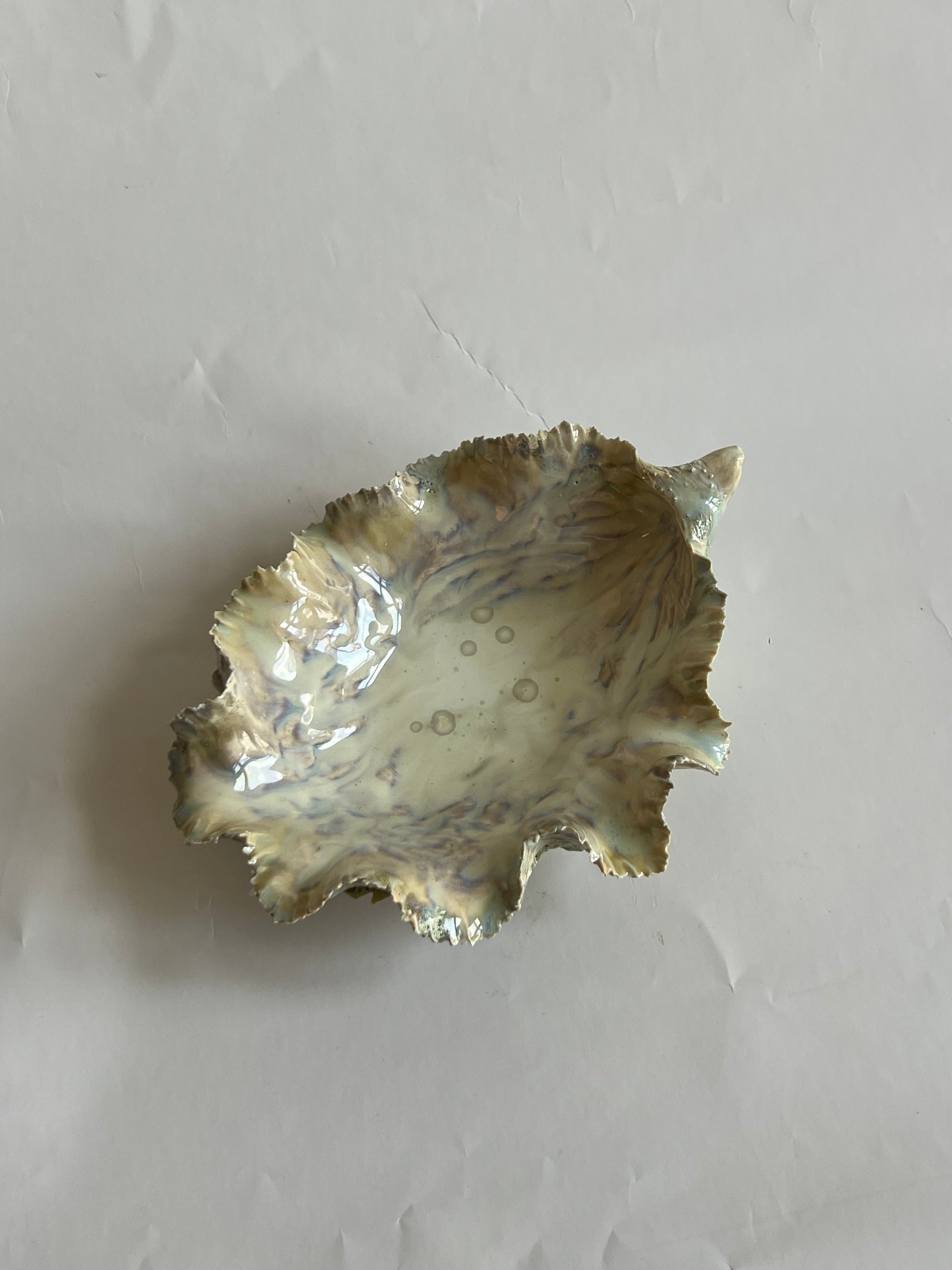 Green Oyster Shell