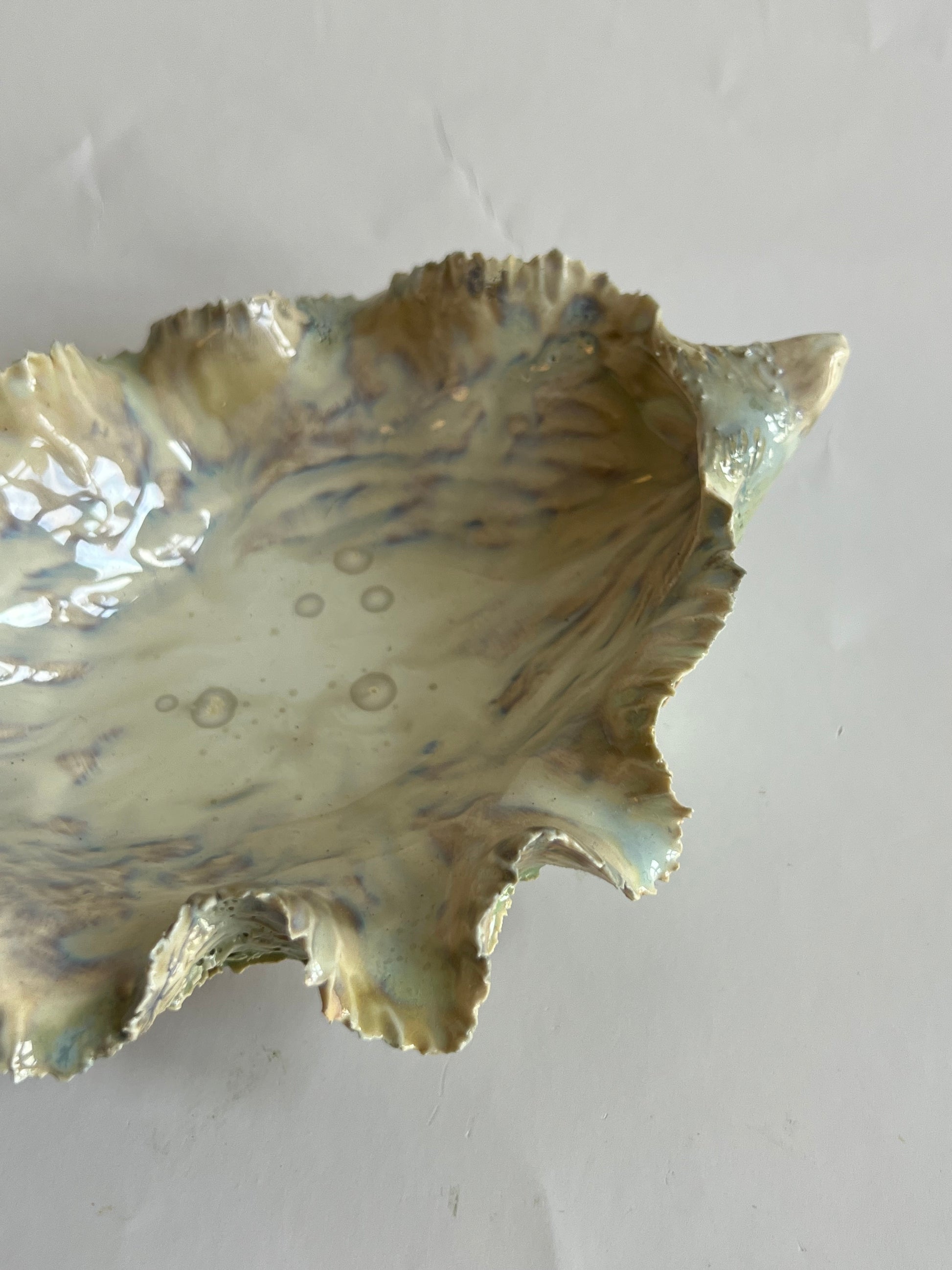 Green Oyster Shell