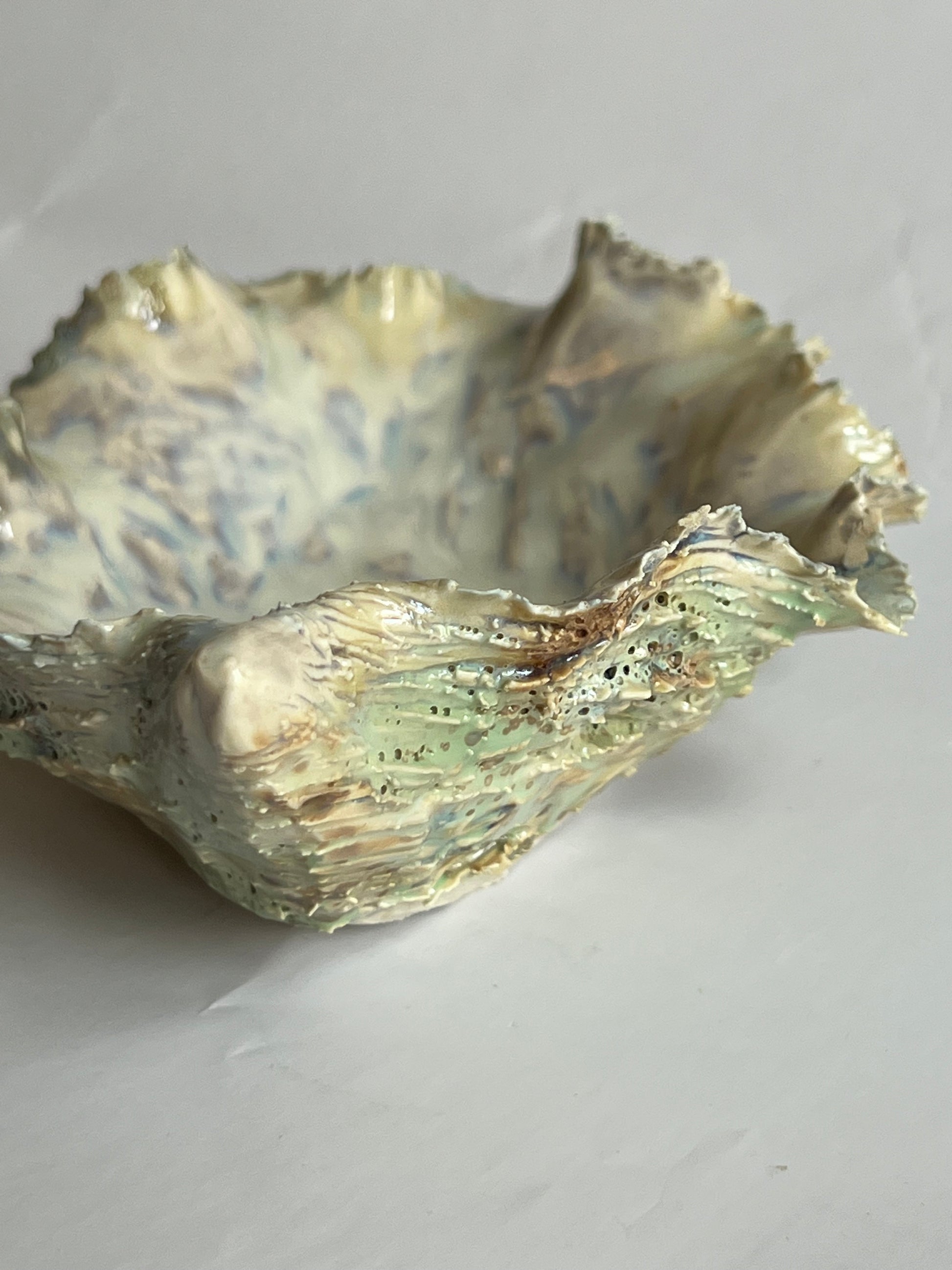 Green Oyster Shell