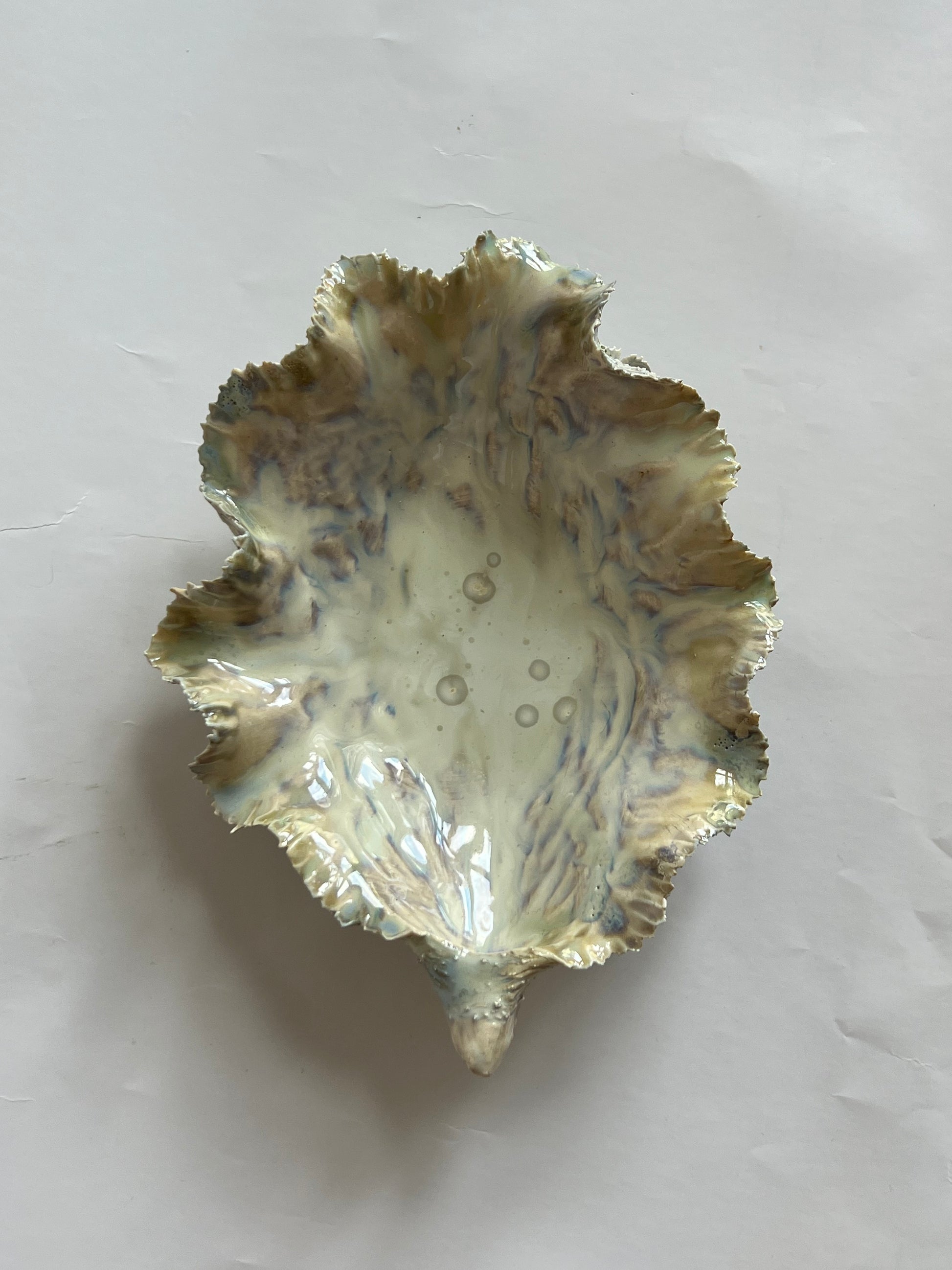 Green Oyster Shell