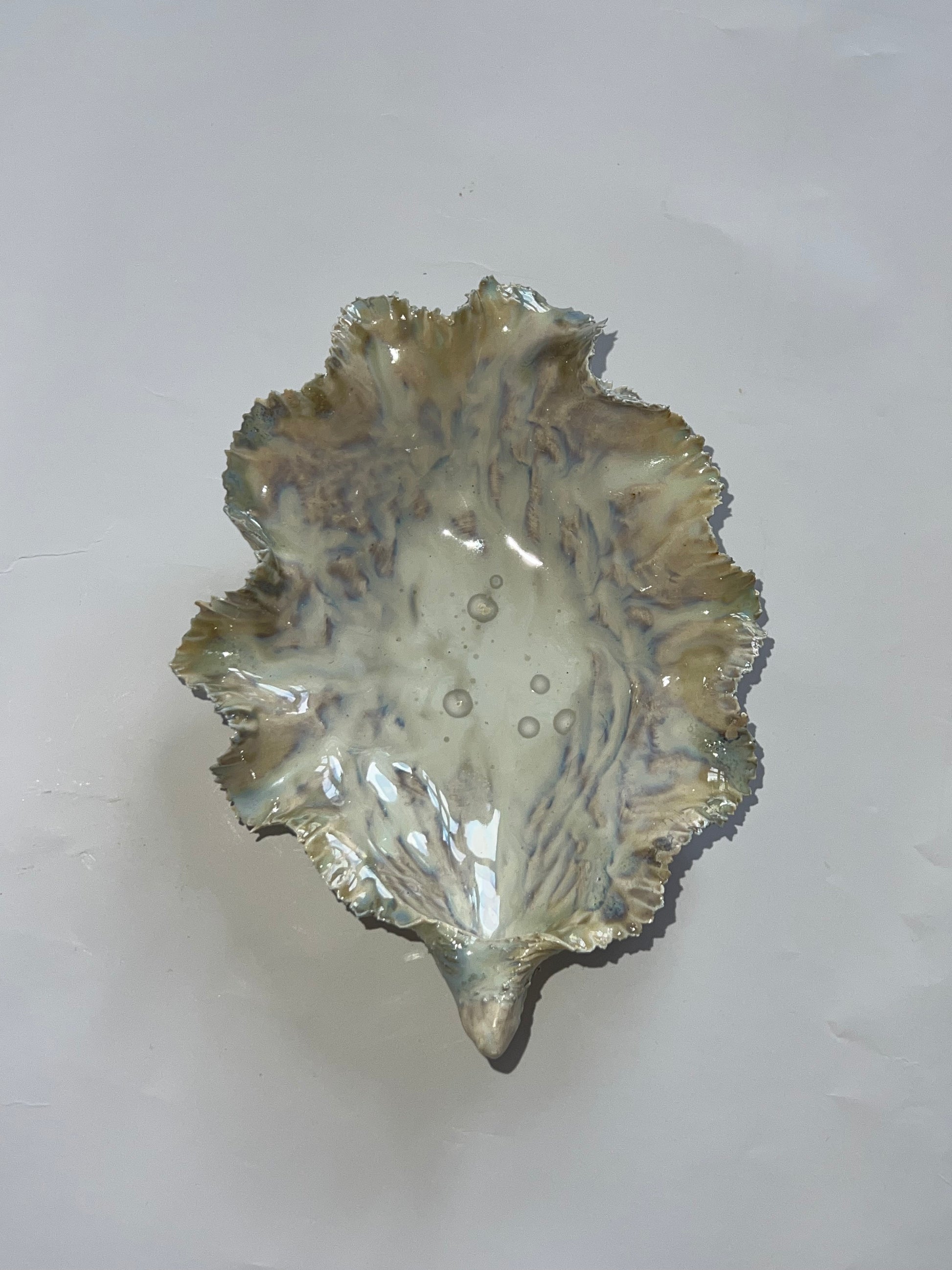 Green Oyster Shell
