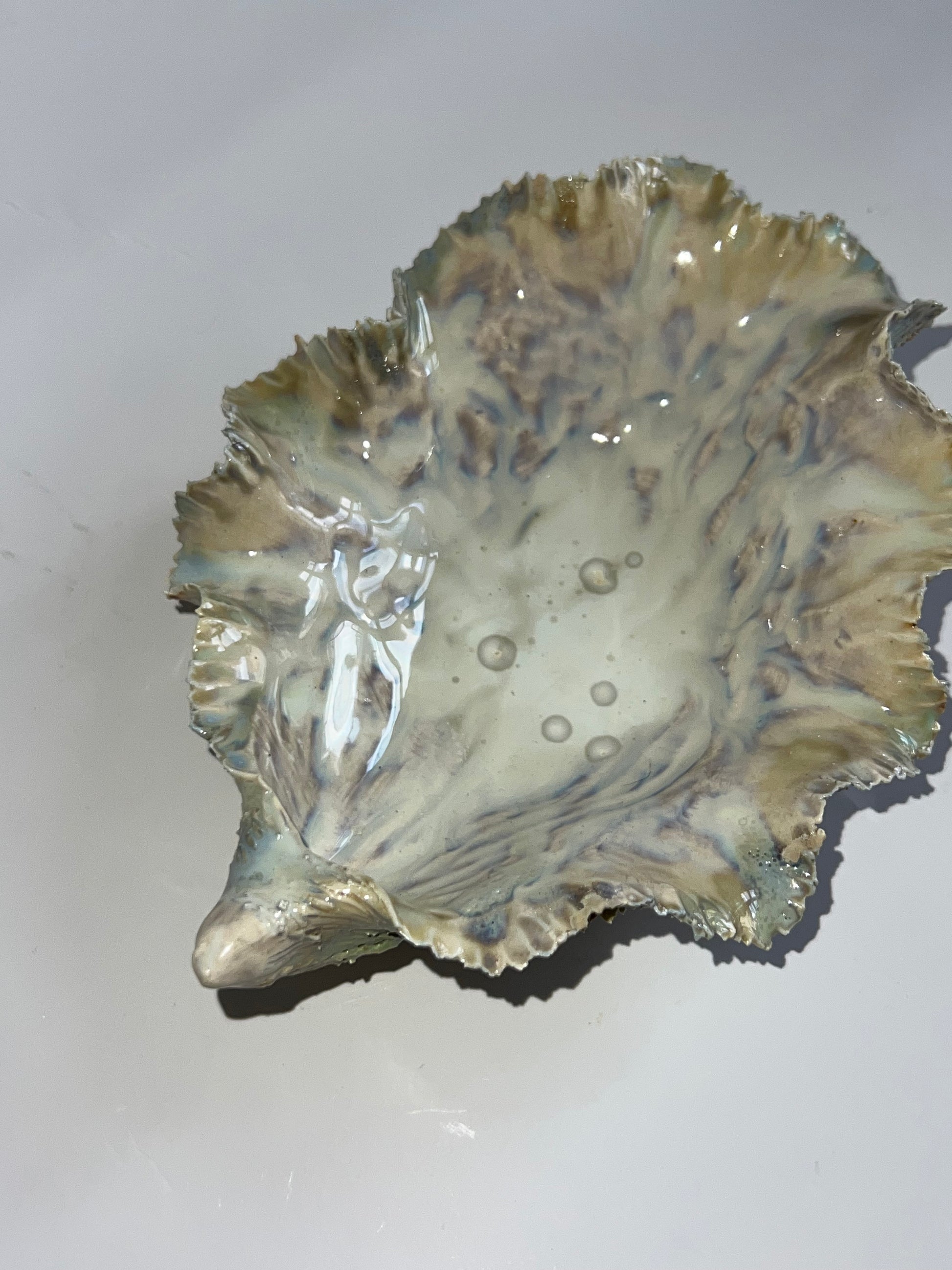 Green Oyster Shell