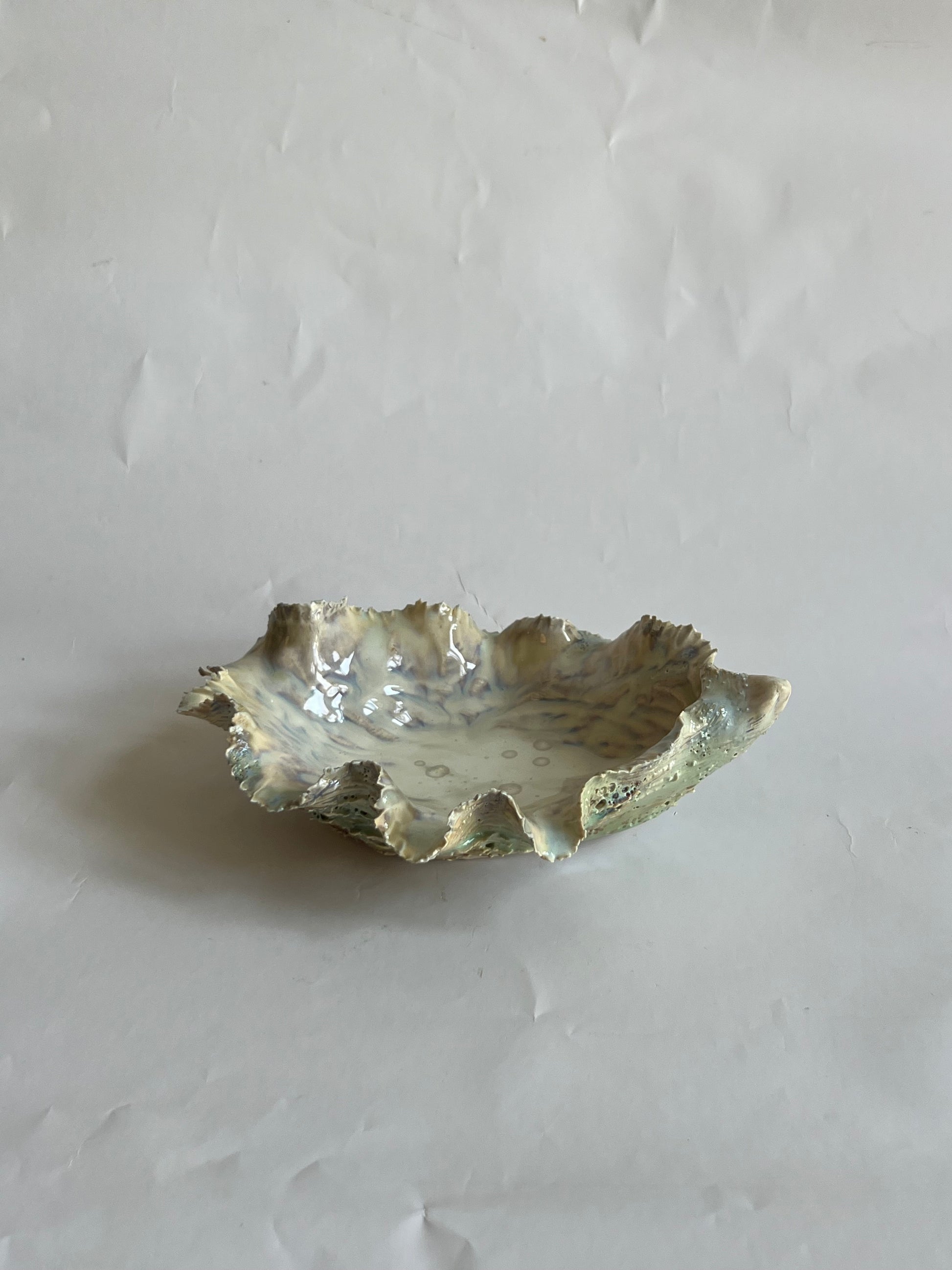Green Oyster Shell