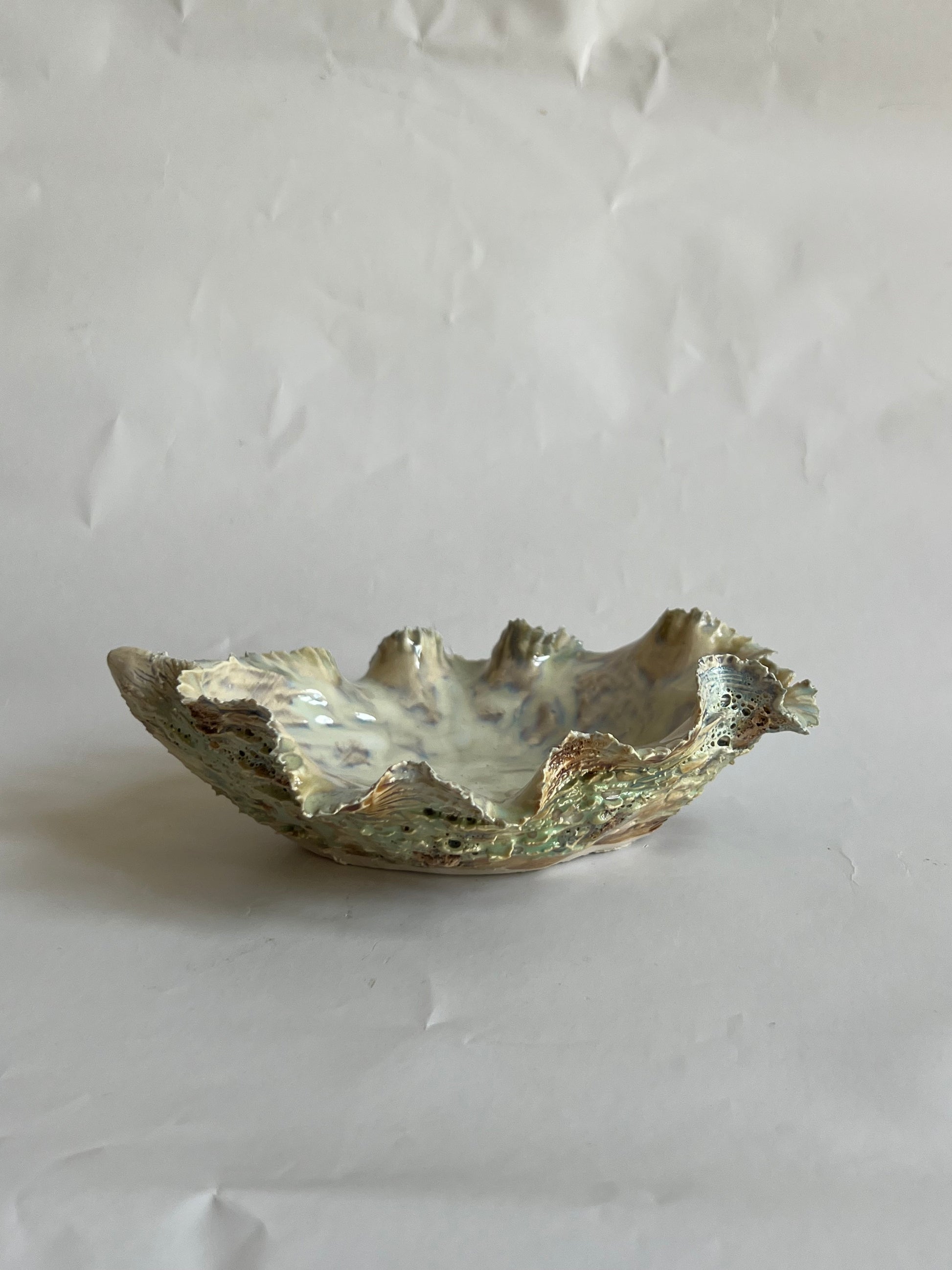 Green Oyster Shell