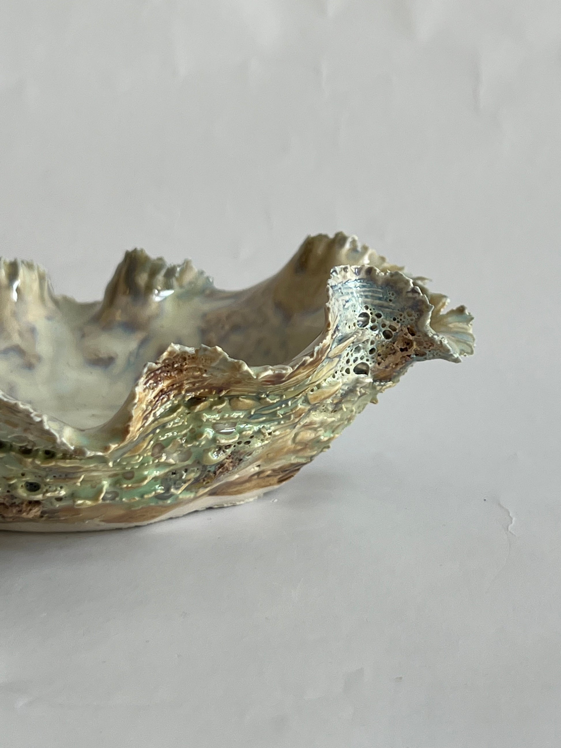 Green Oyster Shell