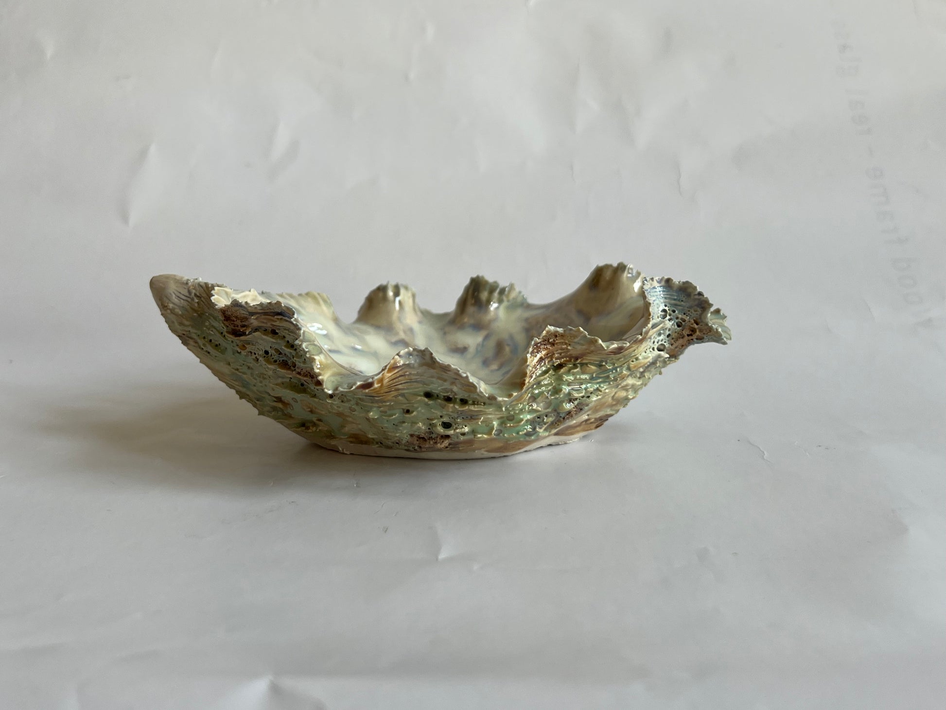 Green Oyster Shell