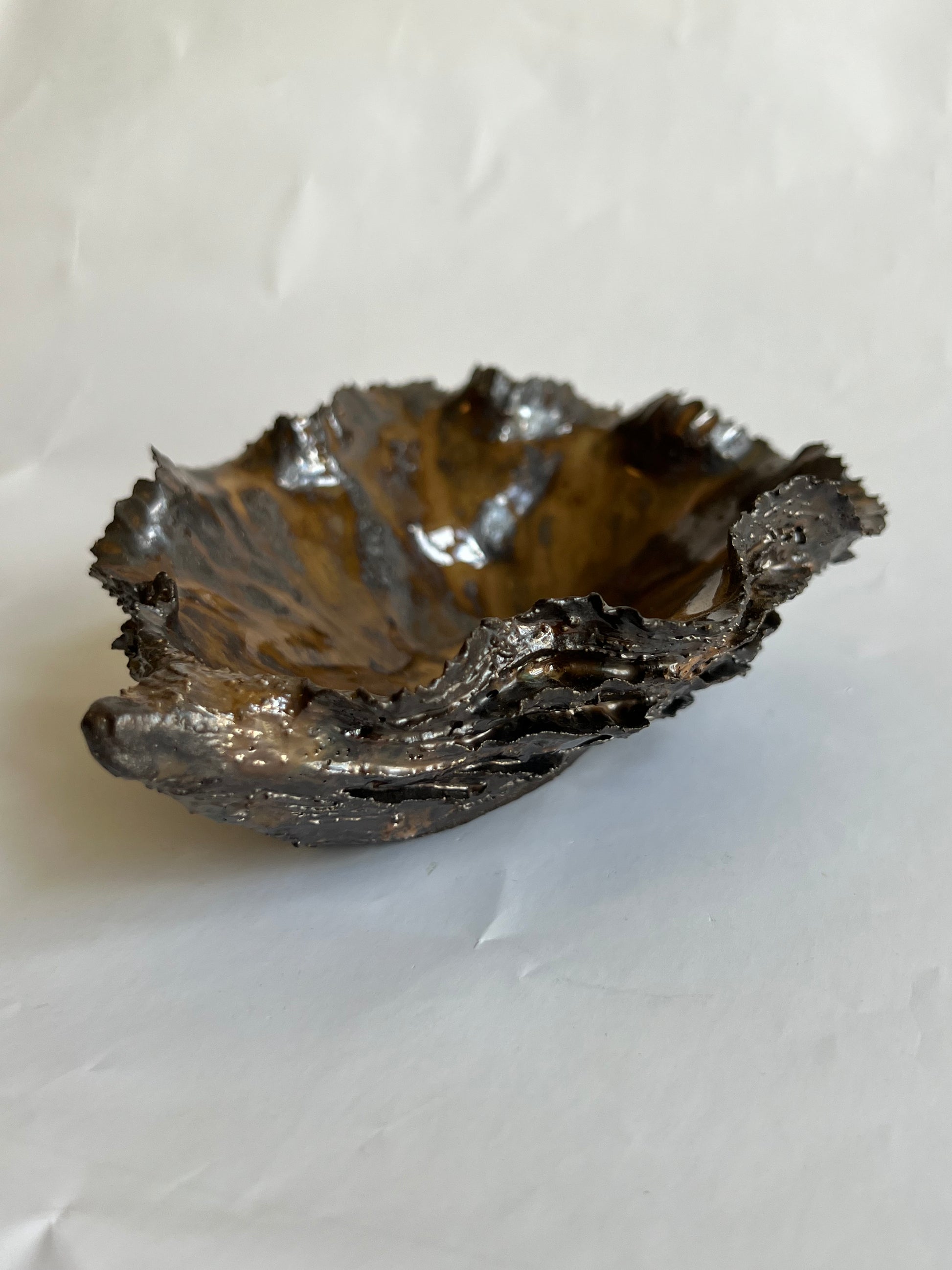 Black Oyster Shell