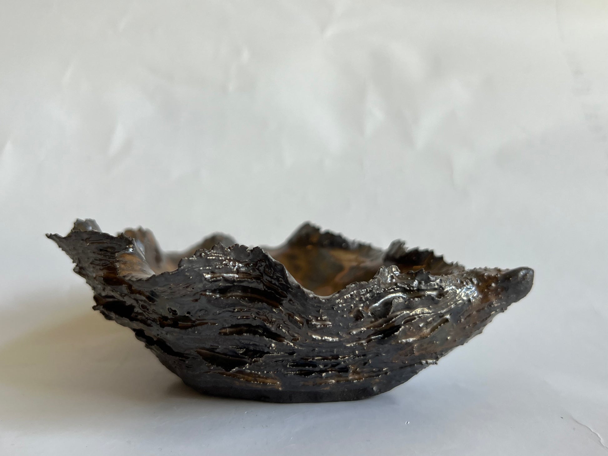 Black Oyster Shell