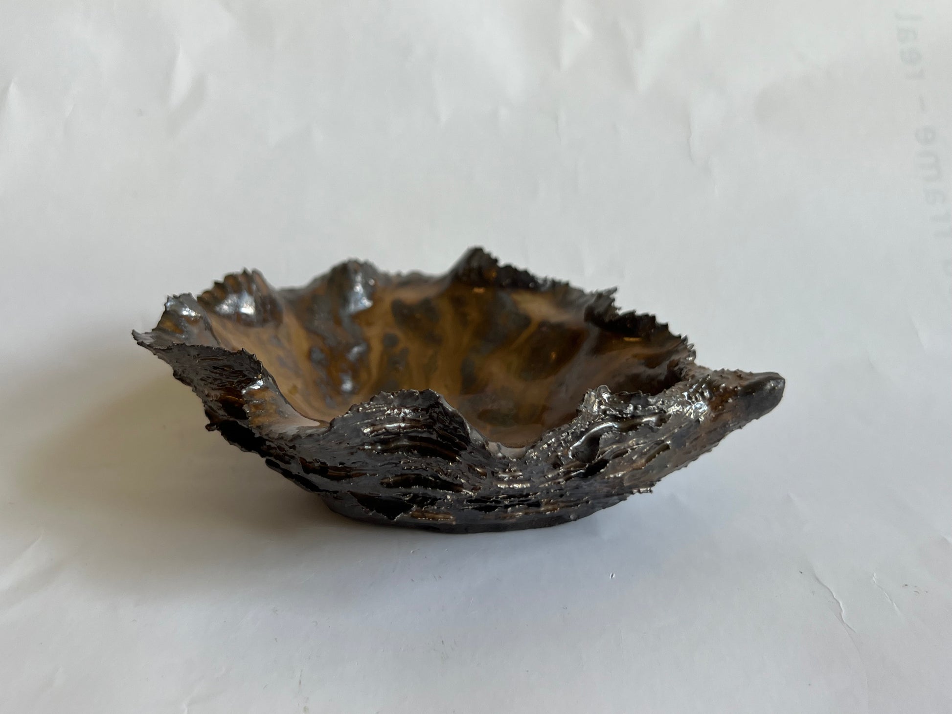 Black Oyster Shell