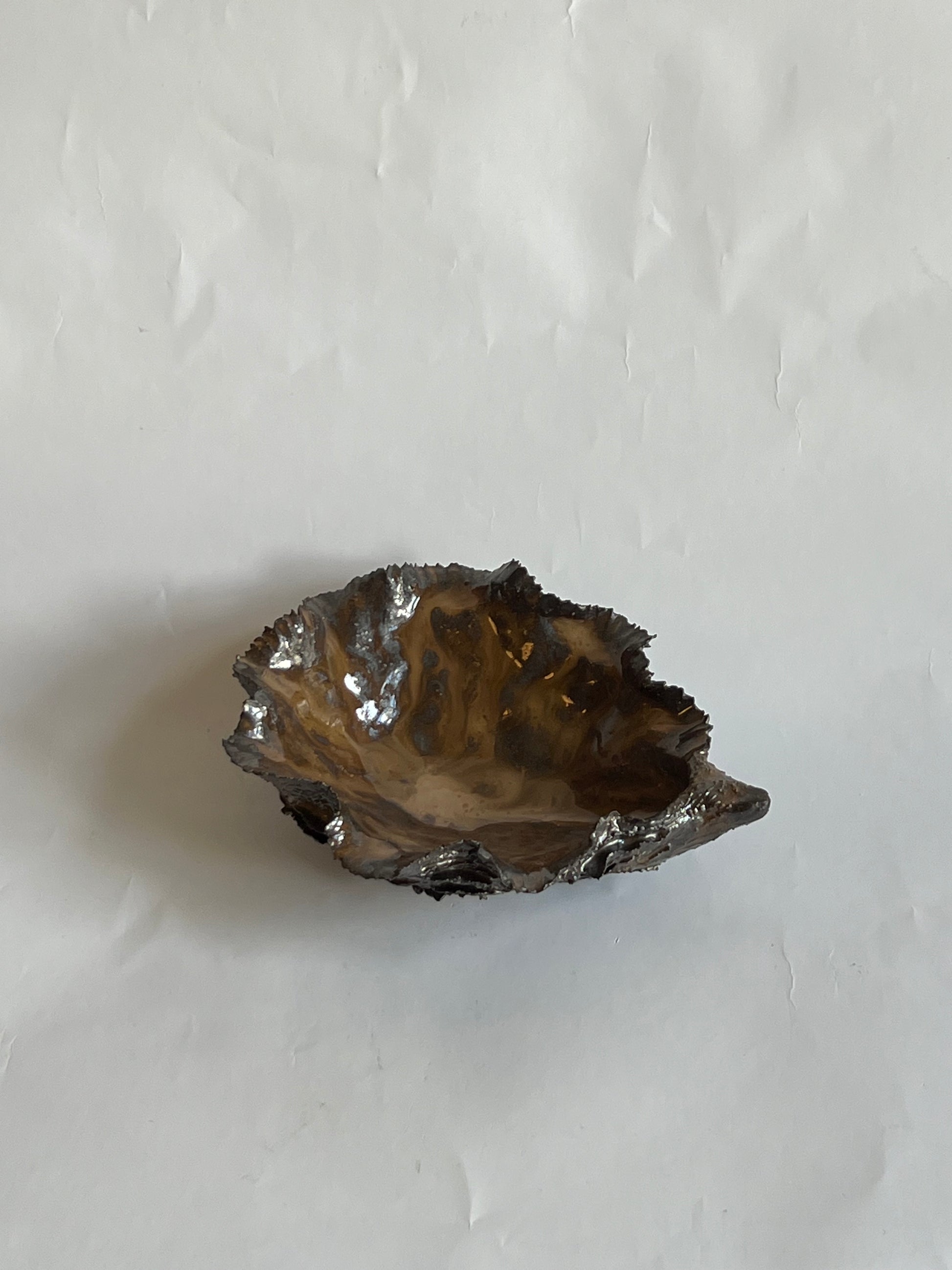 Black Oyster Shell