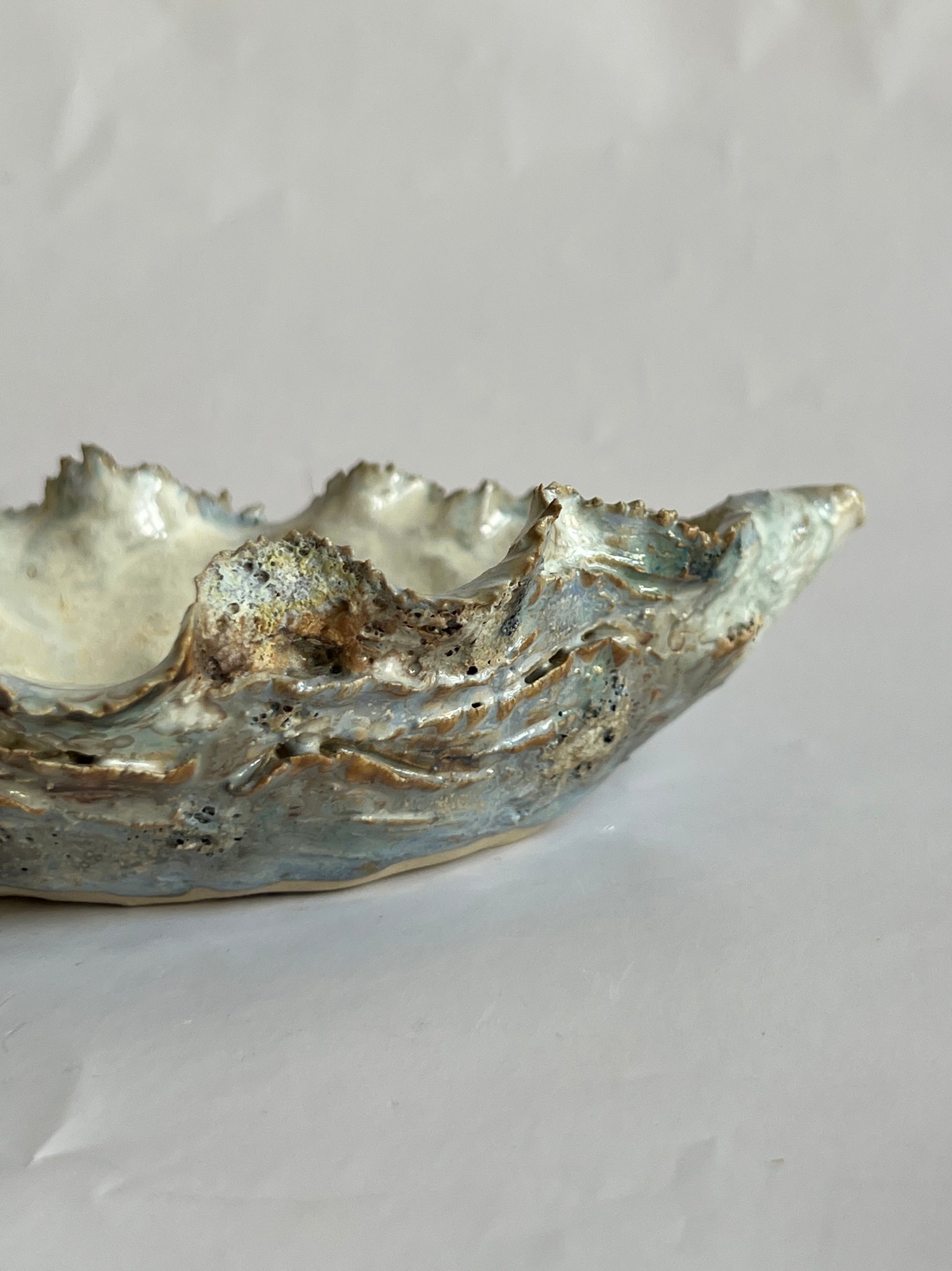 Oyster Shell Small