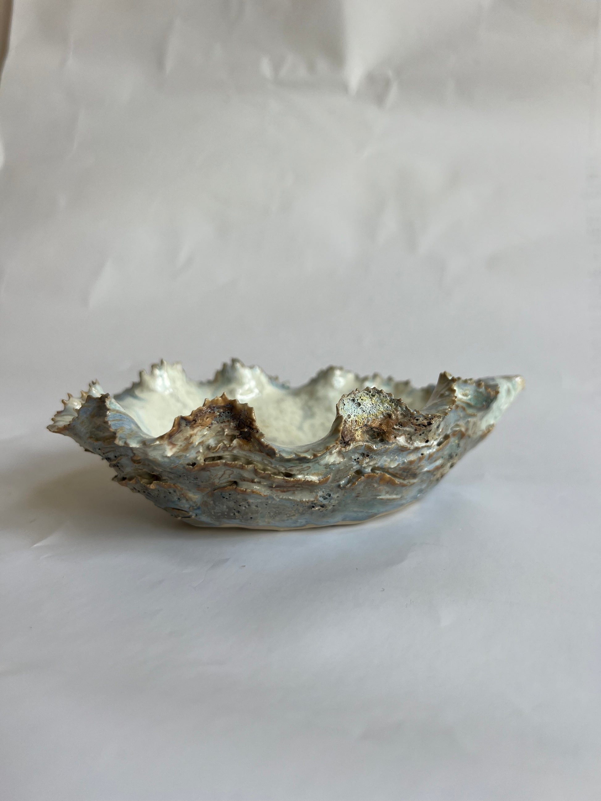 Oyster Shell Small