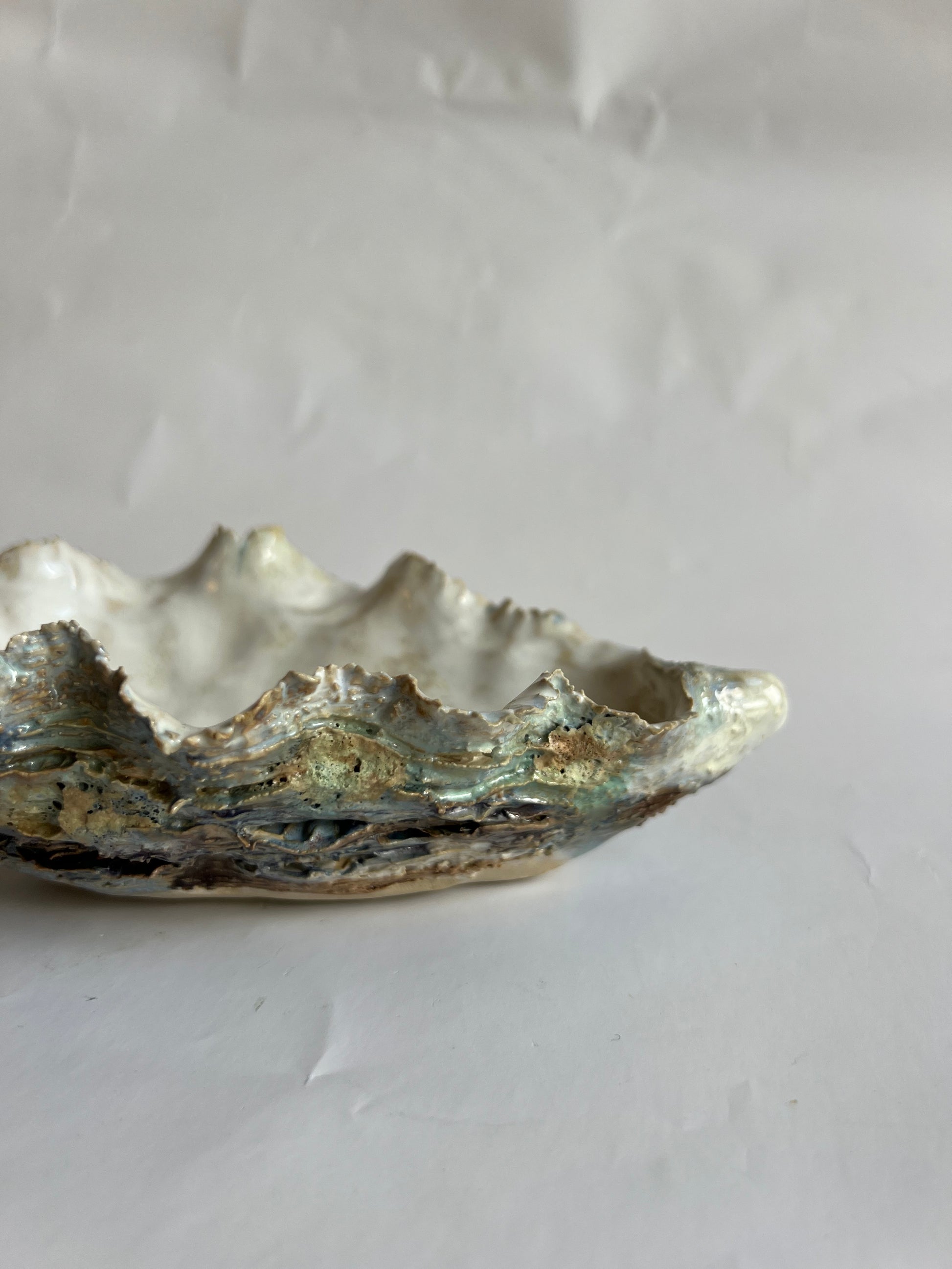 Oyster Shell Medium