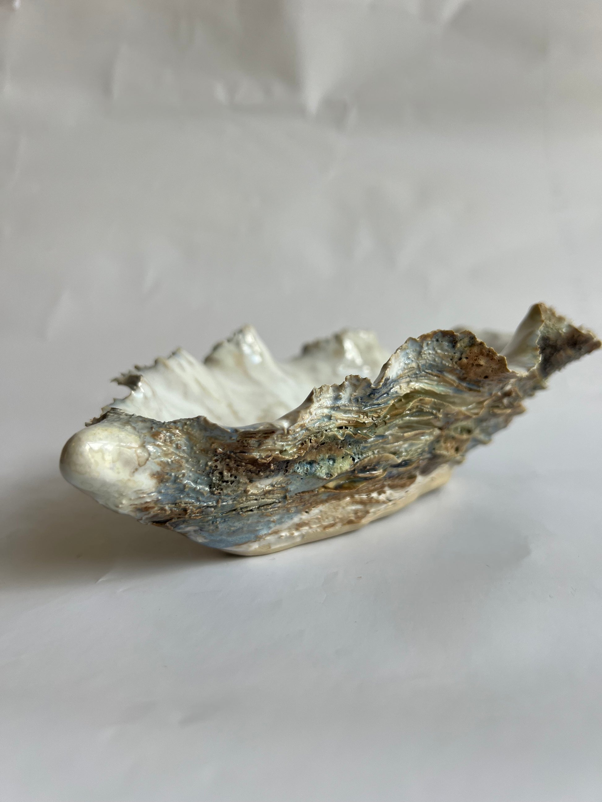 Oyster Shell Medium