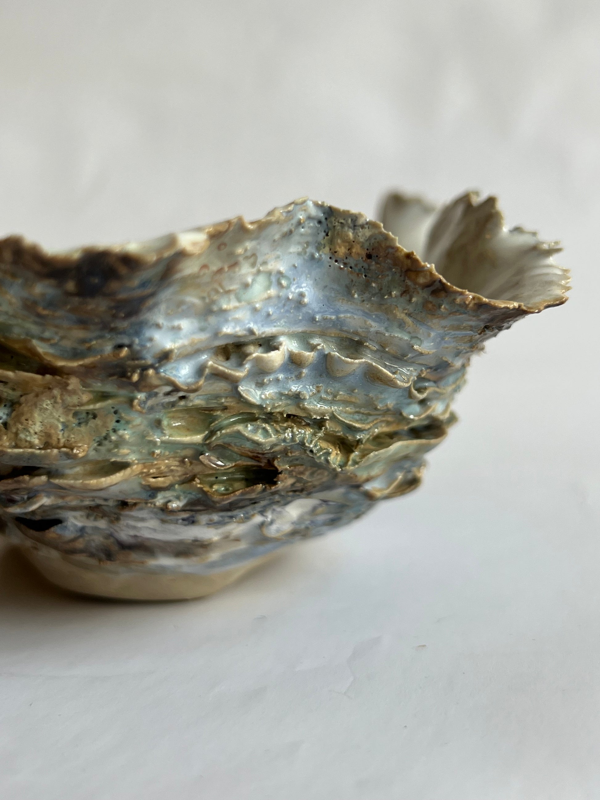 Oyster Shell Medium