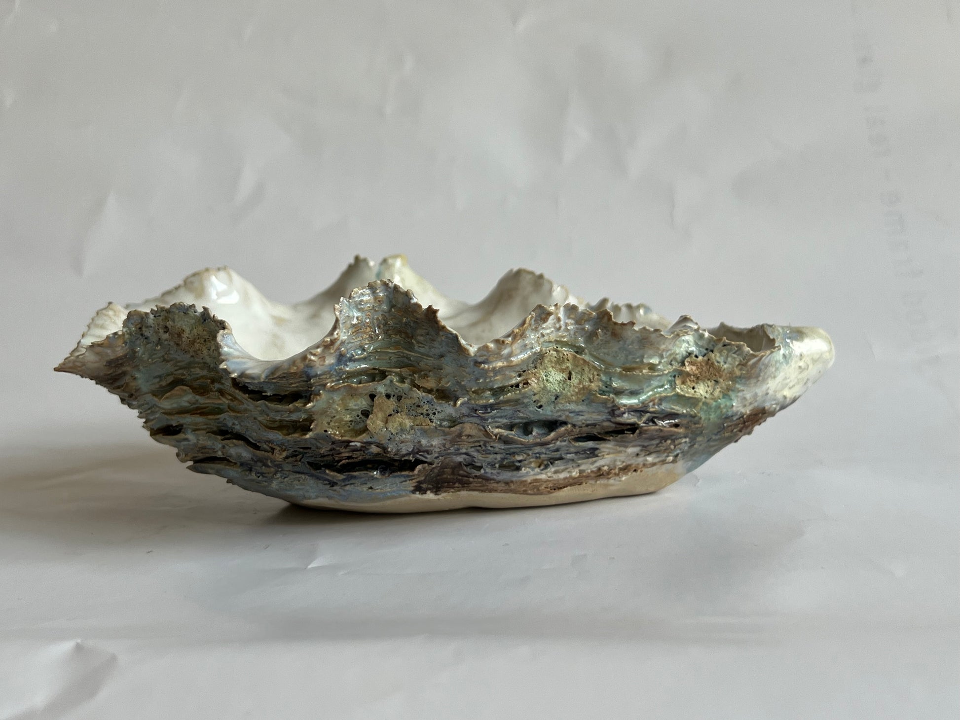 Oyster Shell Medium