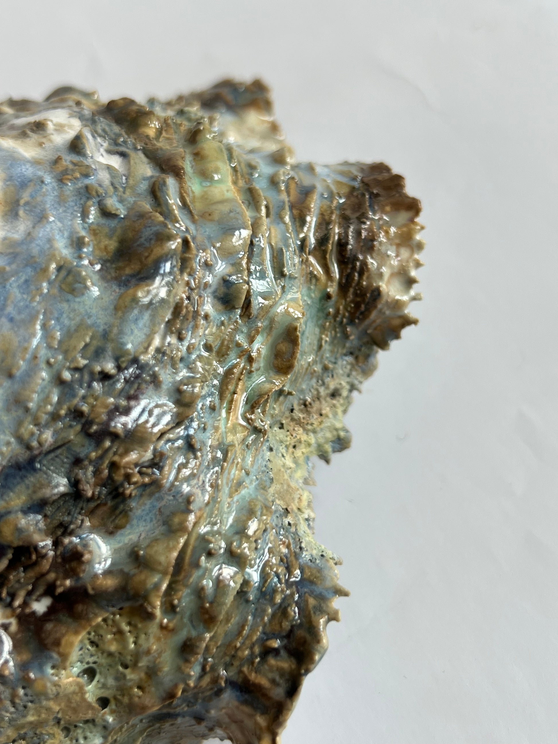 Oyster Shell Medium