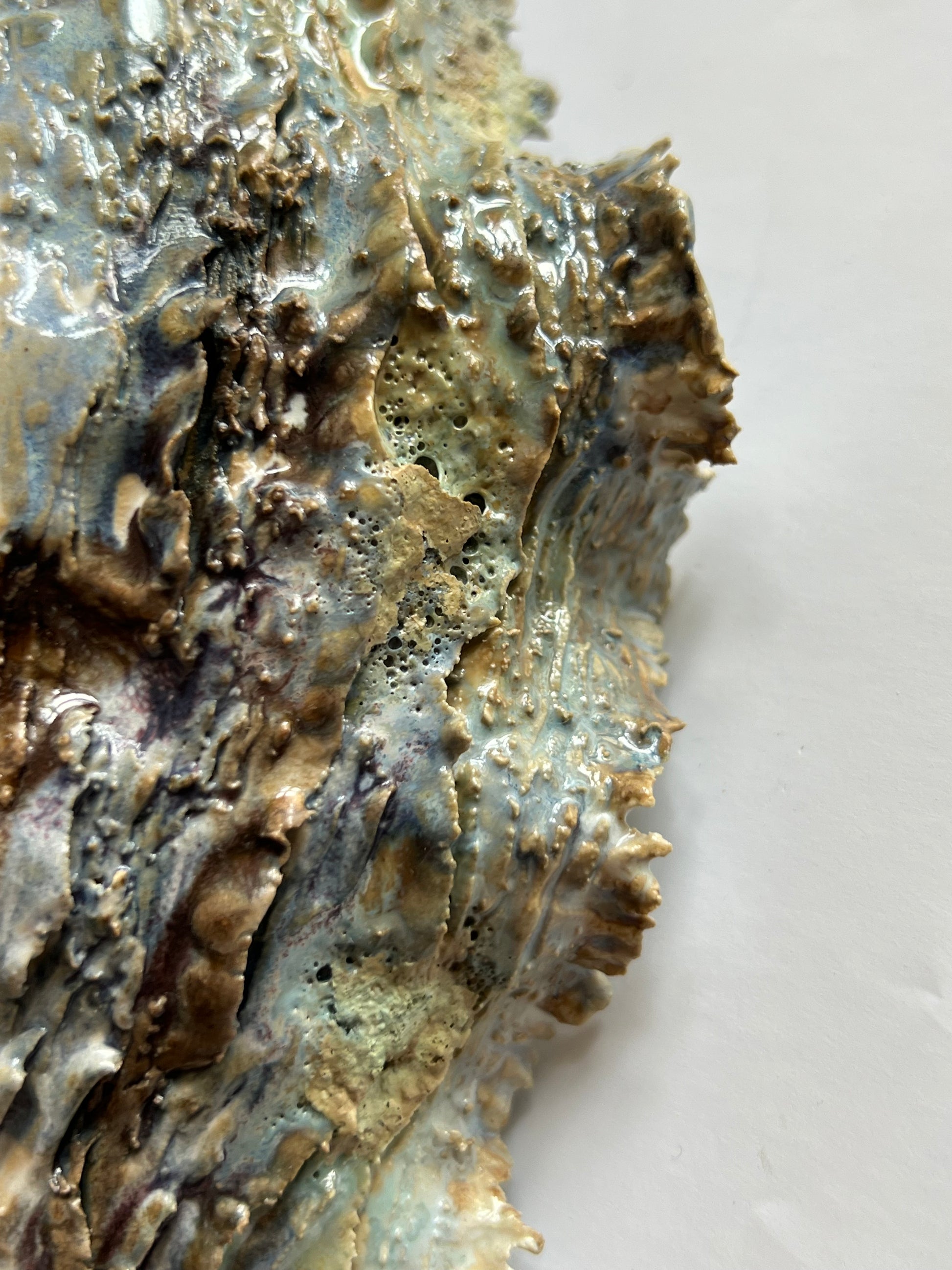 Oyster Shell Medium