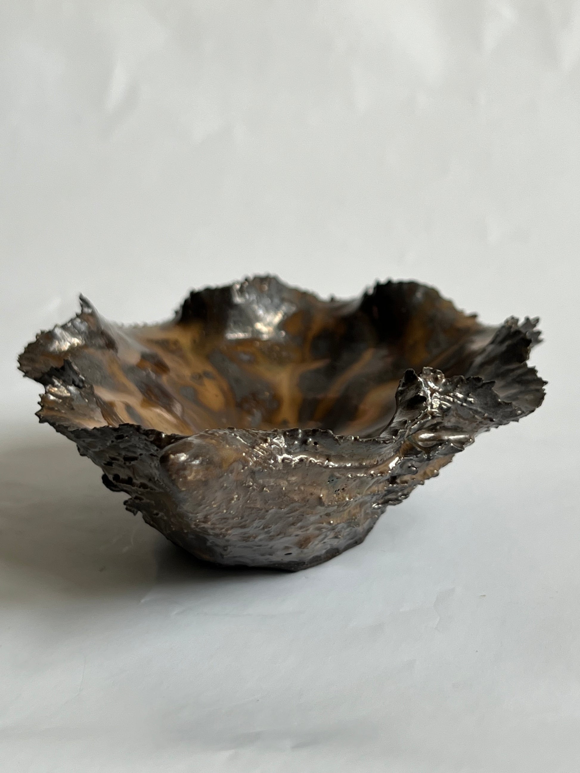 Black Oyster Shell