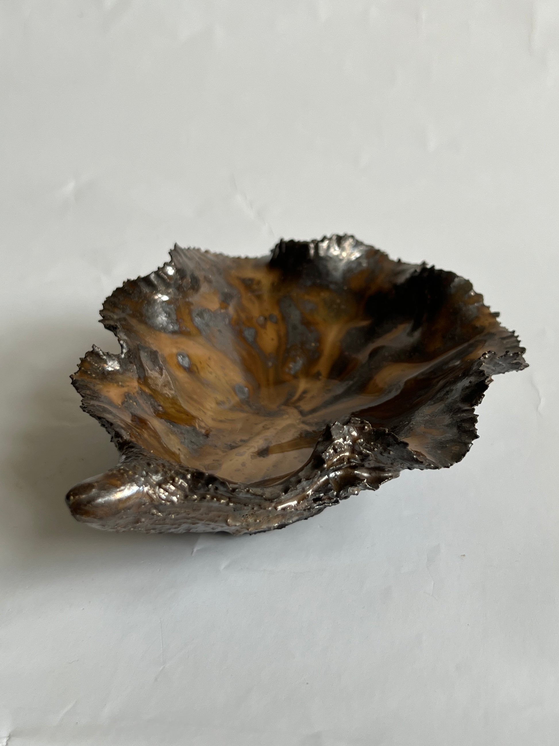 Black Oyster Shell