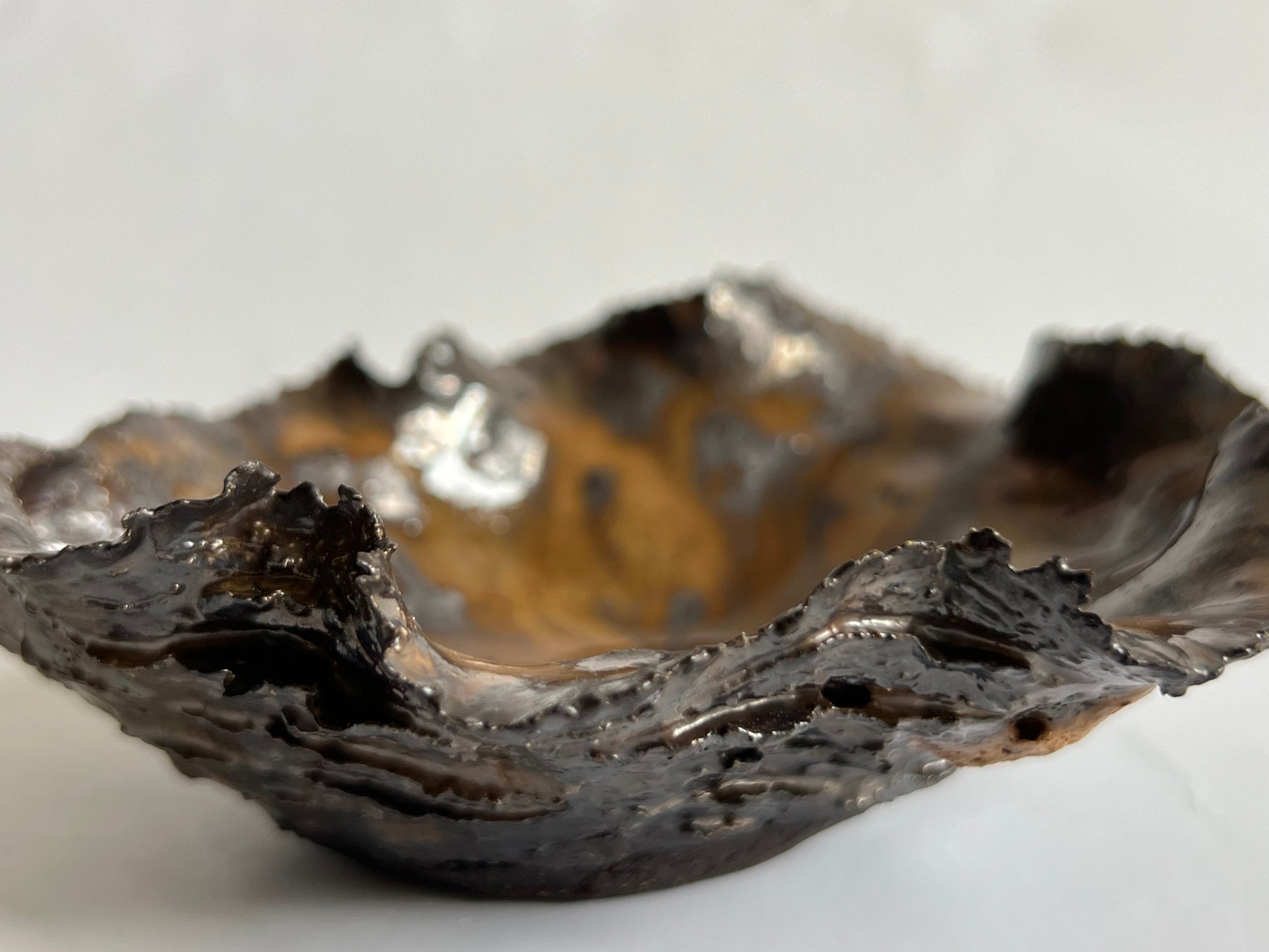 Black Oyster Shell