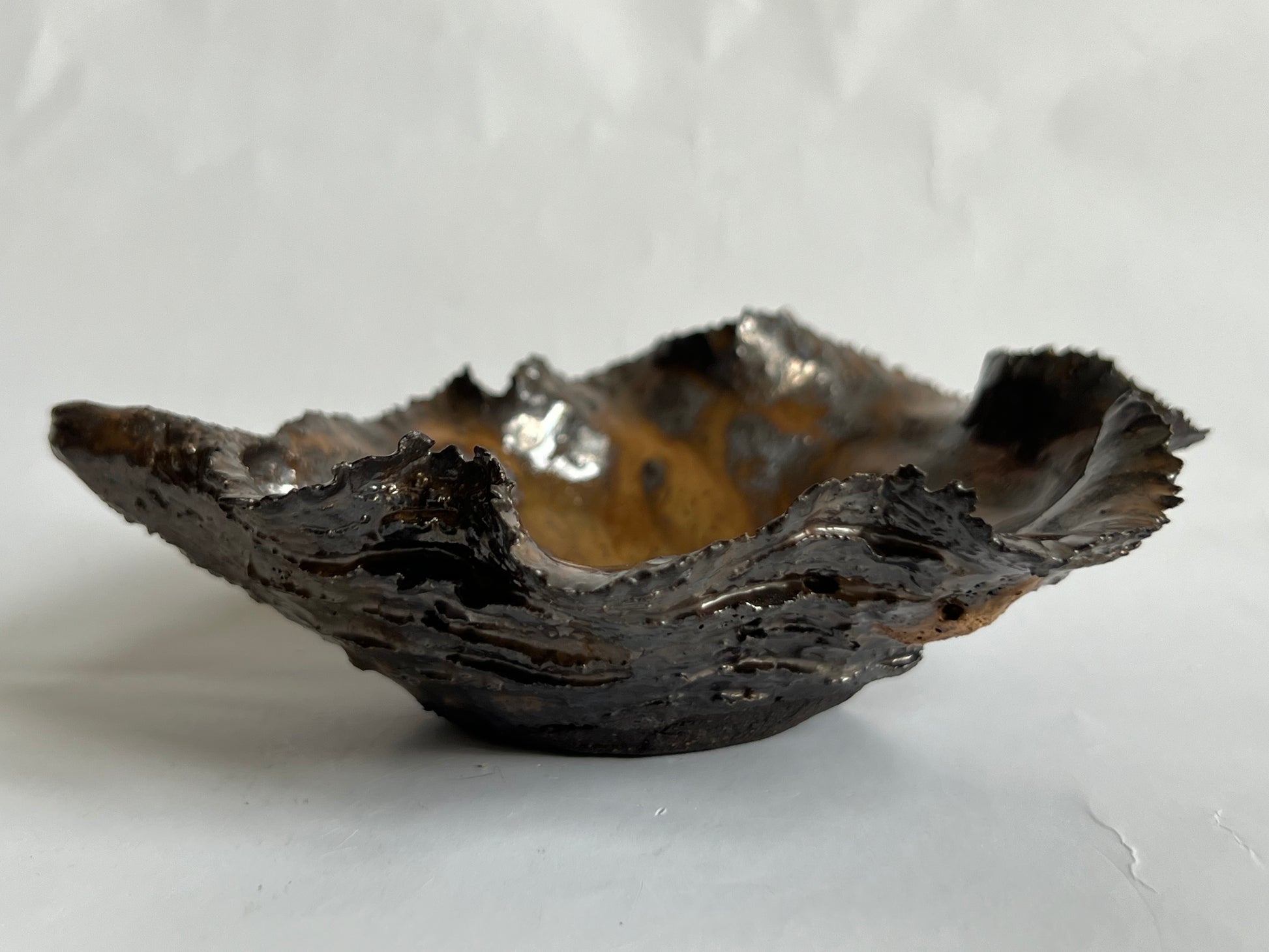 Black Oyster Shell