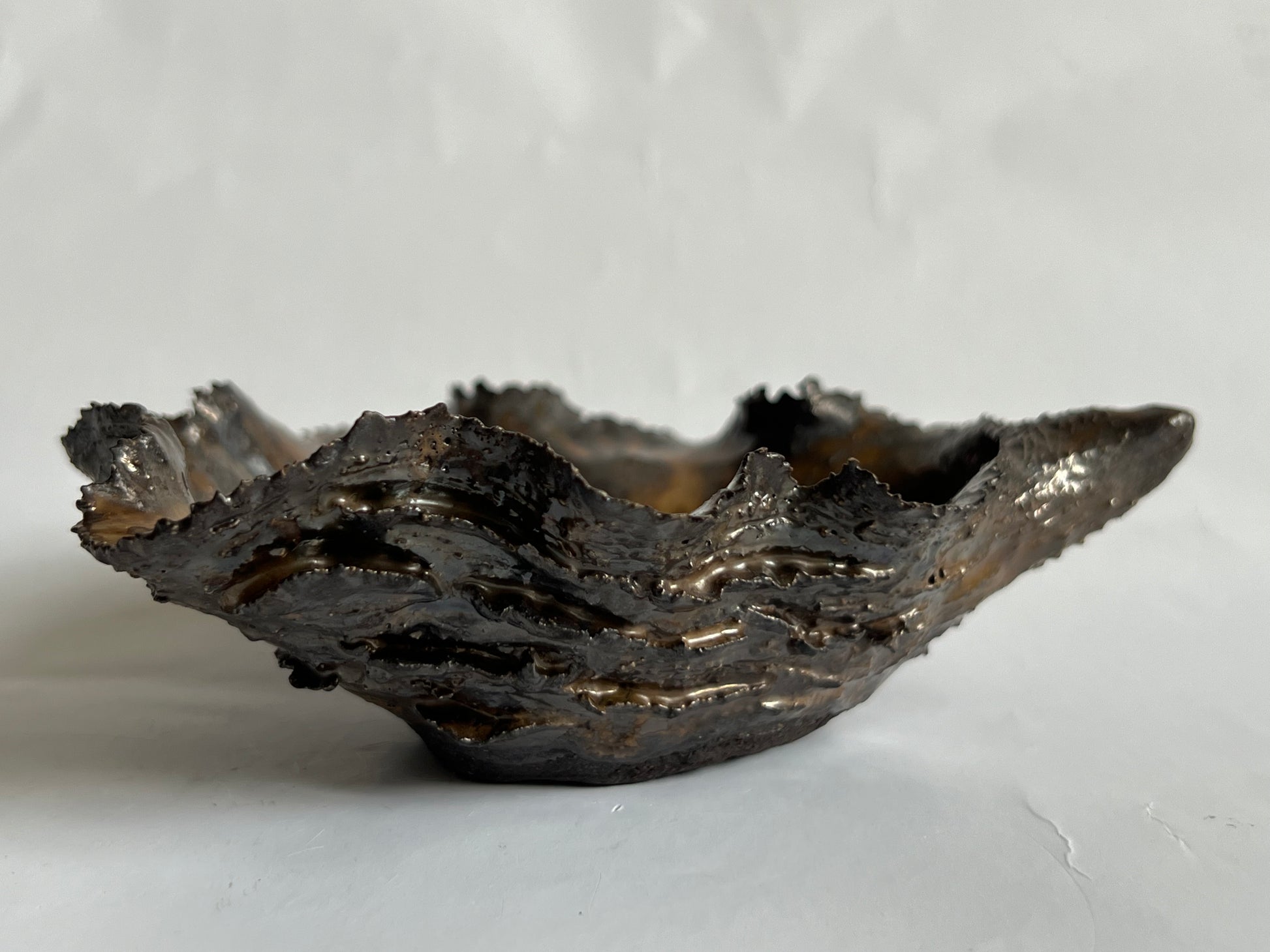 Black Oyster Shell