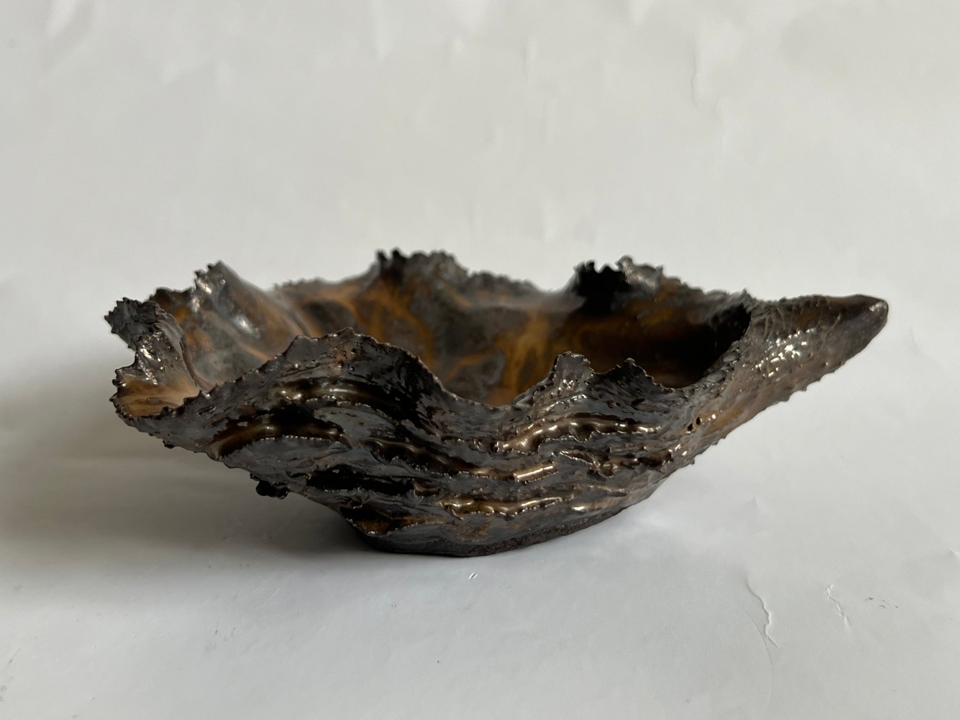 Black Oyster Shell