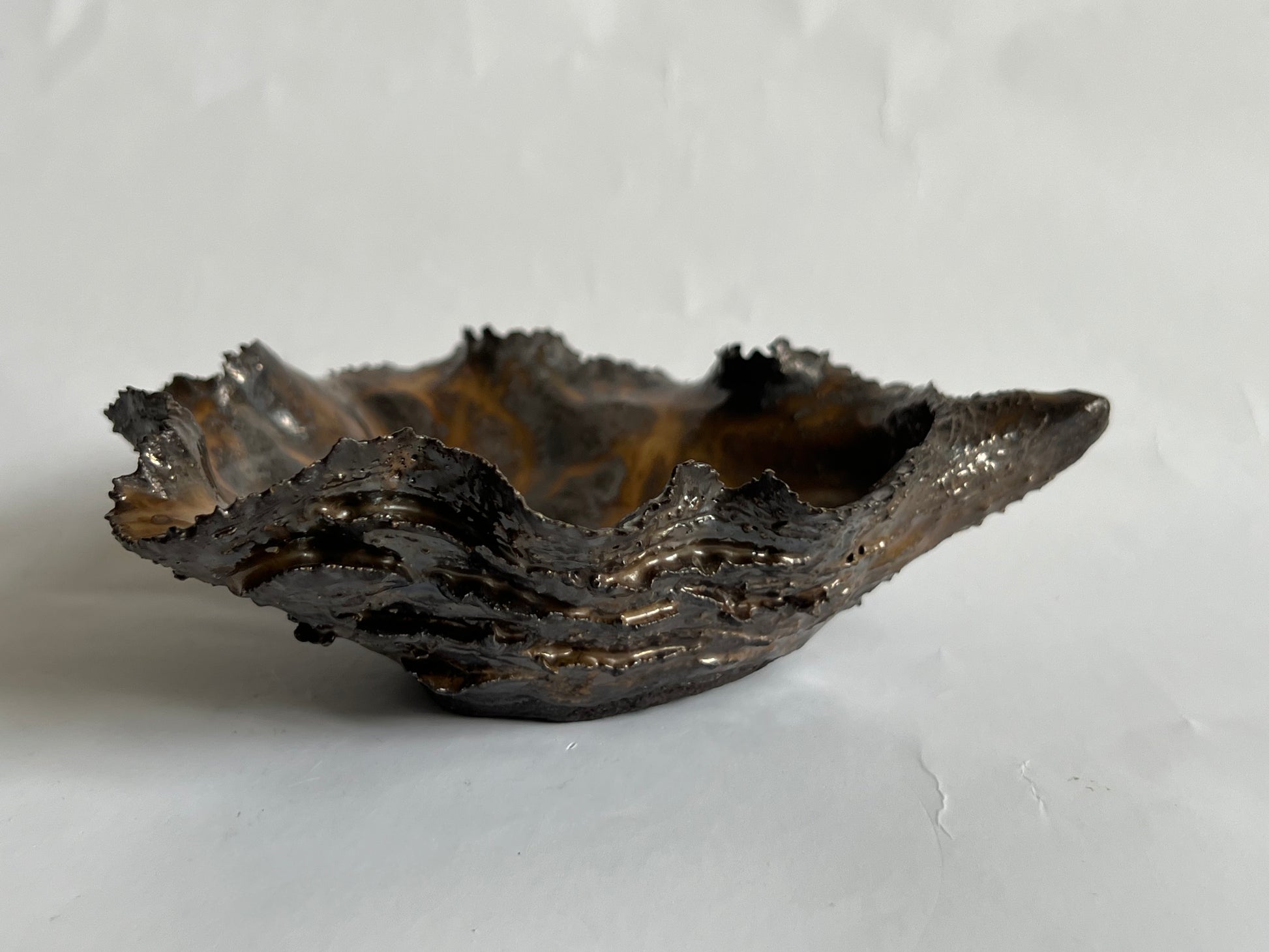 Black Oyster Shell