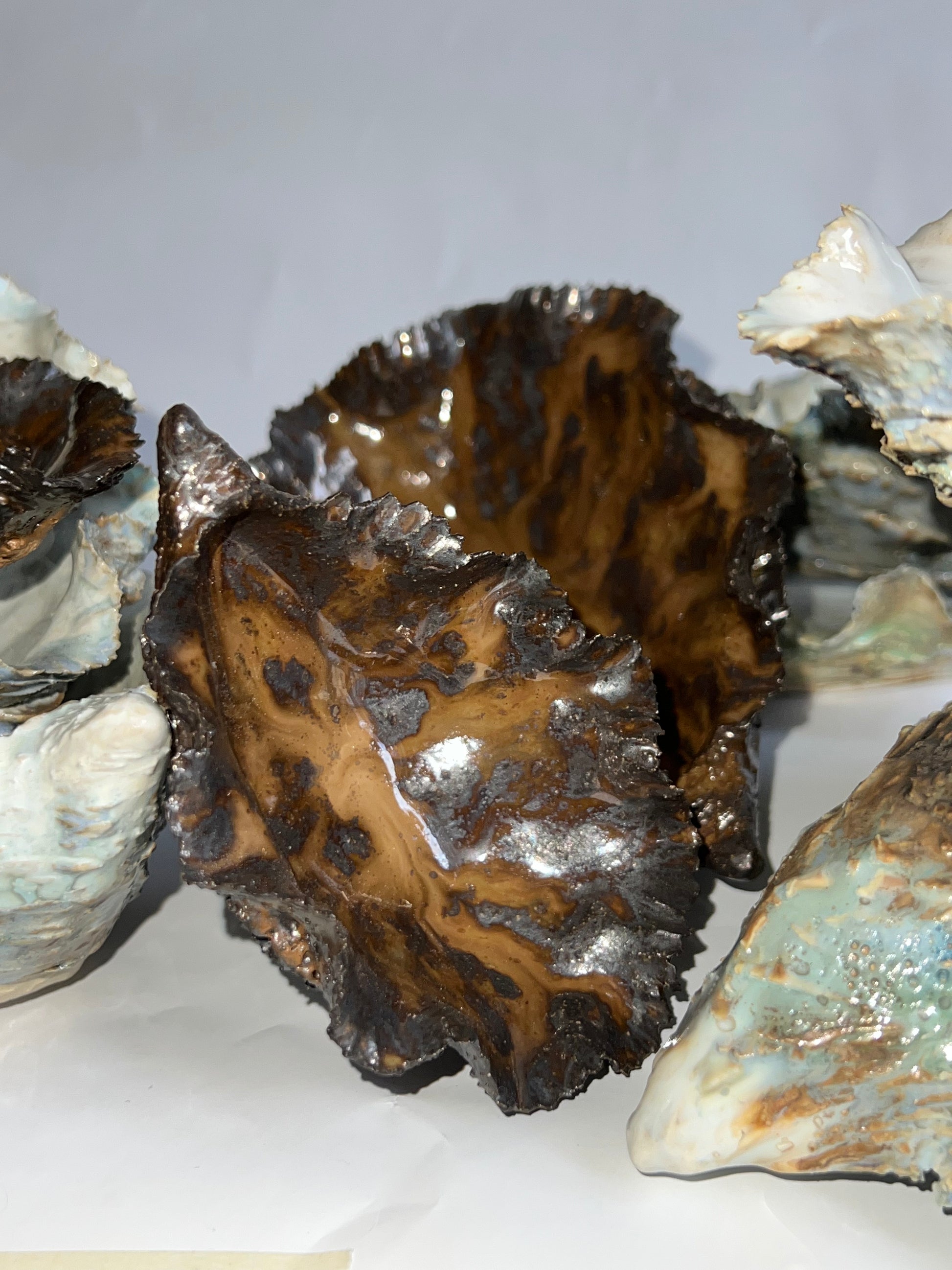 Green Oyster Shell