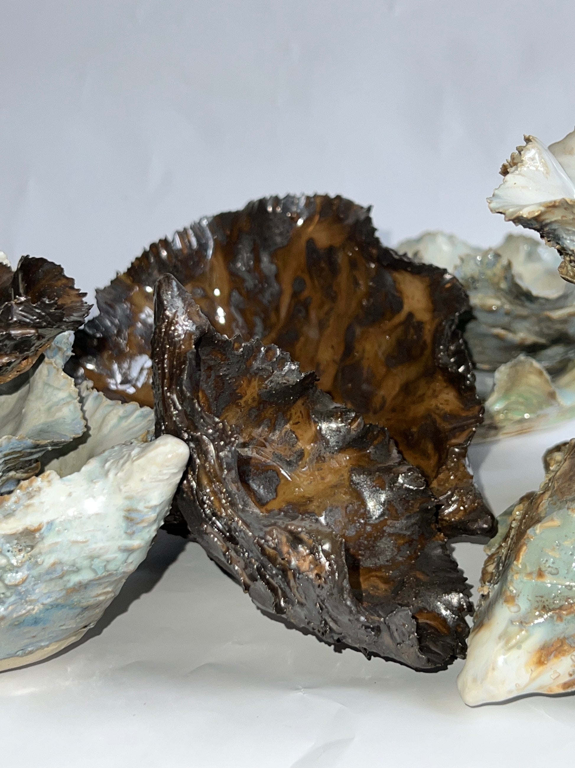 Green Oyster Shell