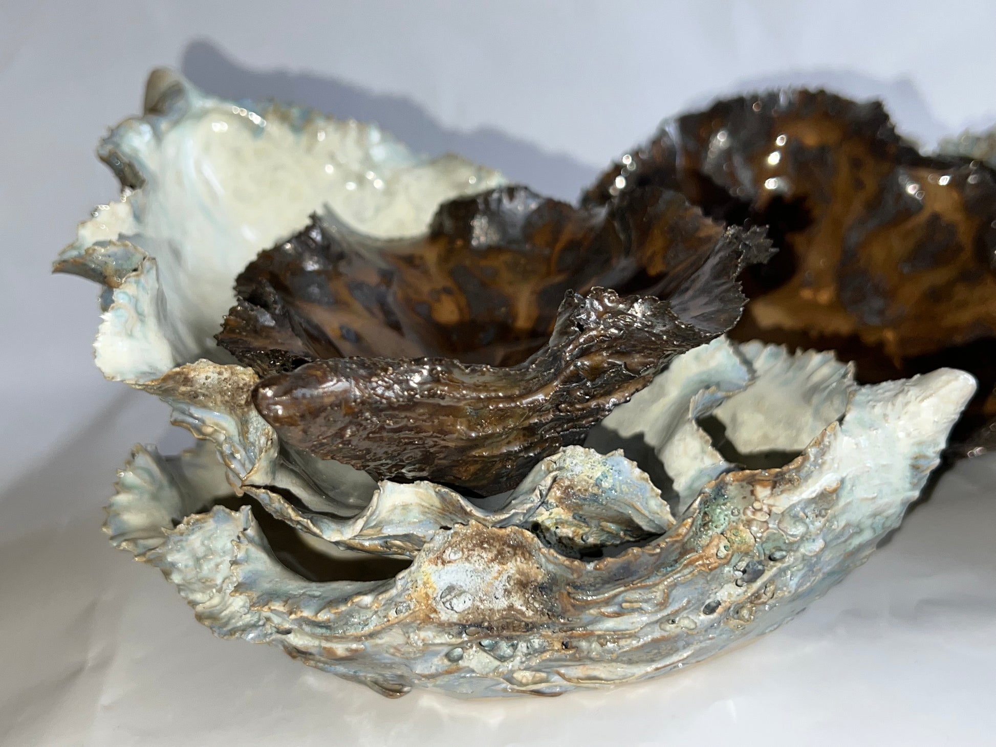 Black Oyster Shell