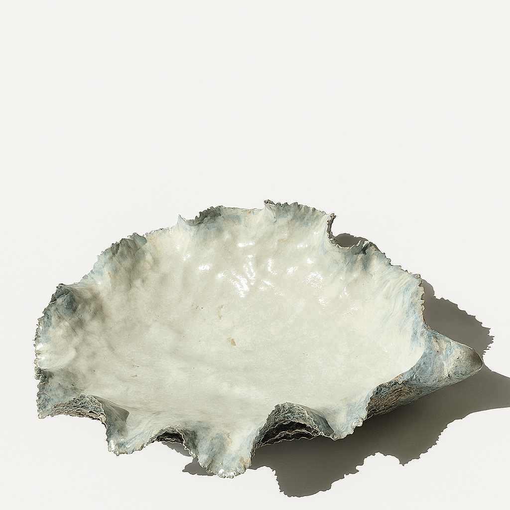 Giant Oyster Shell