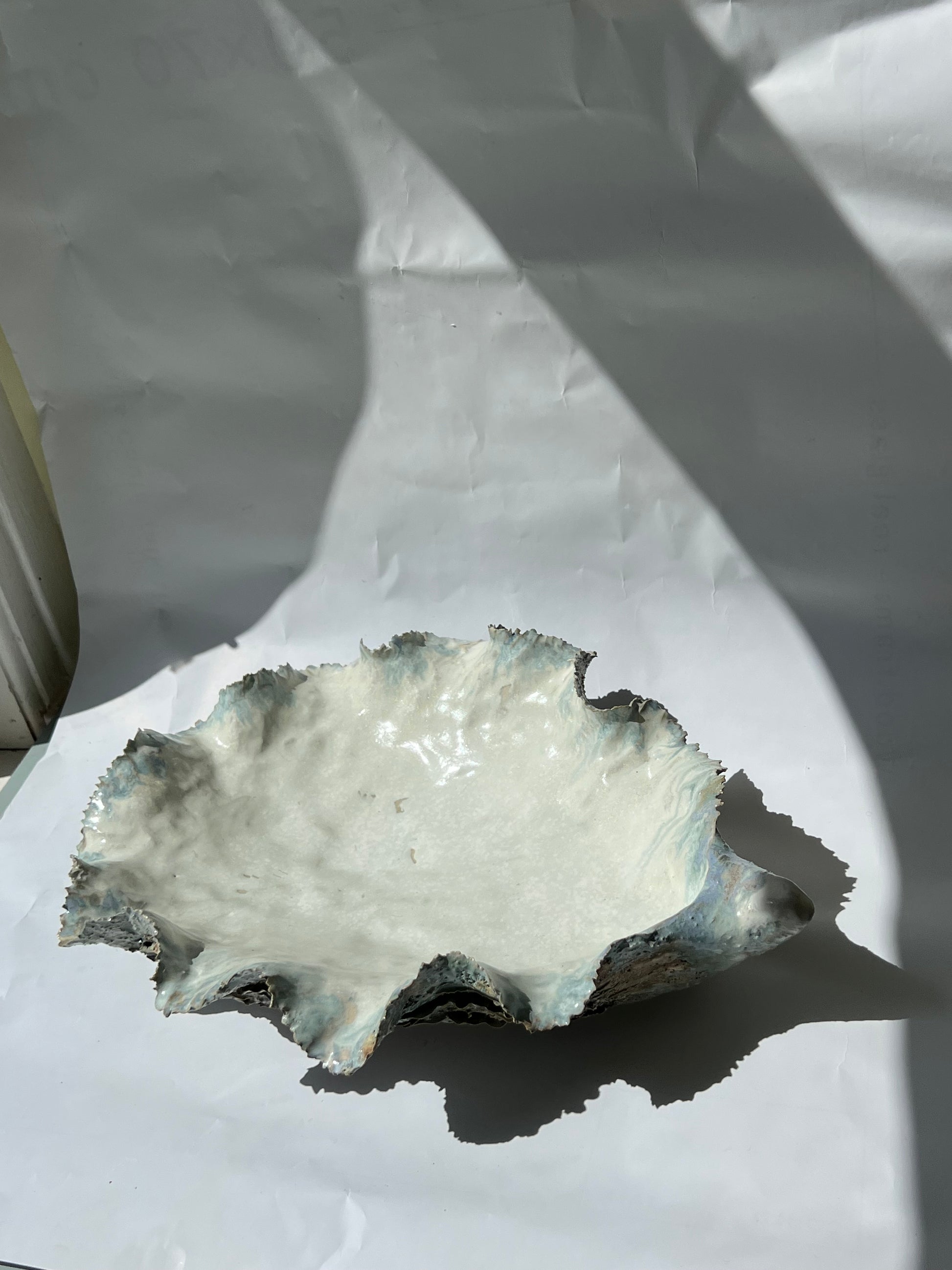 Giant Oyster Shell