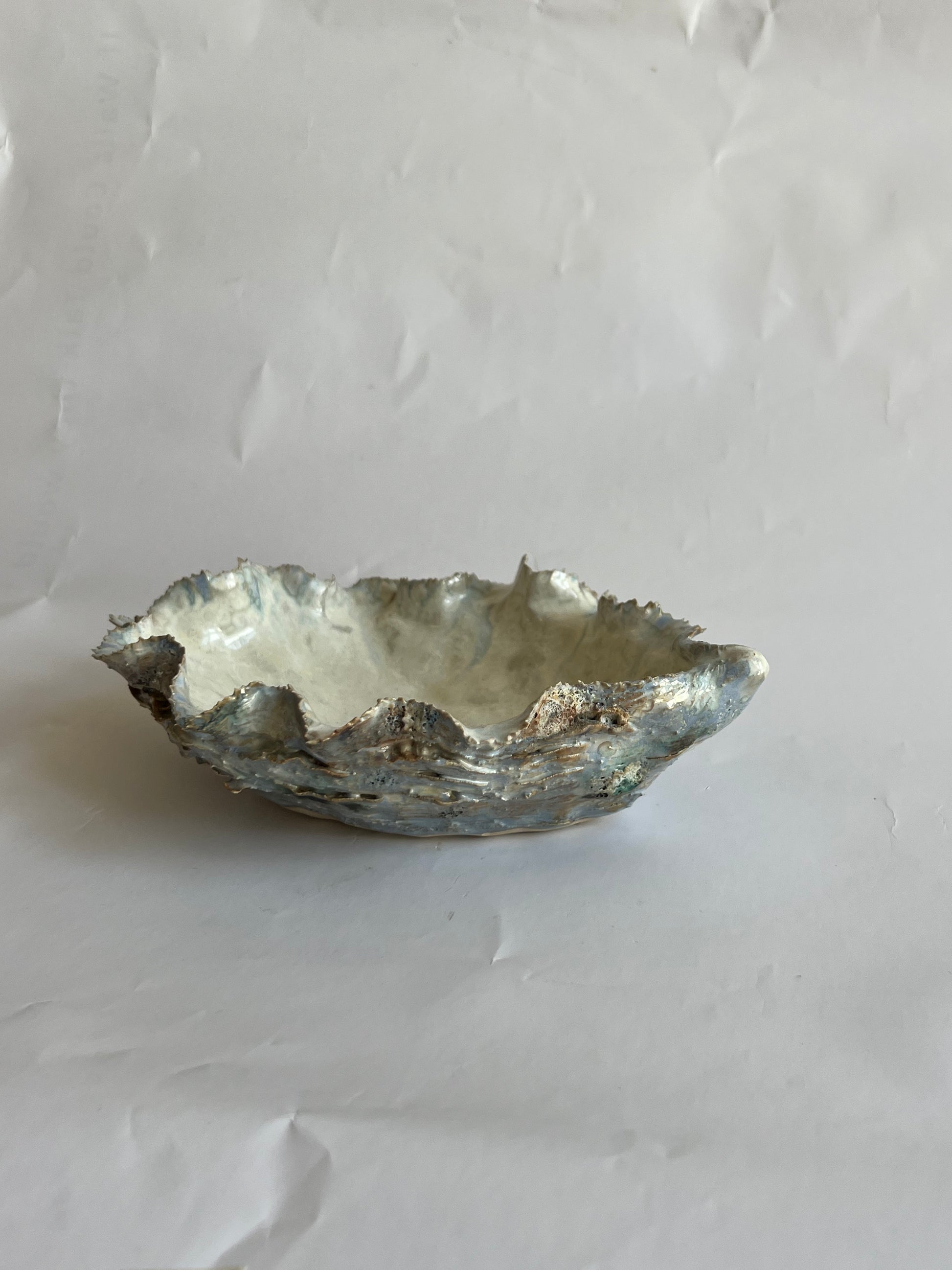 Oyster Shell Medium