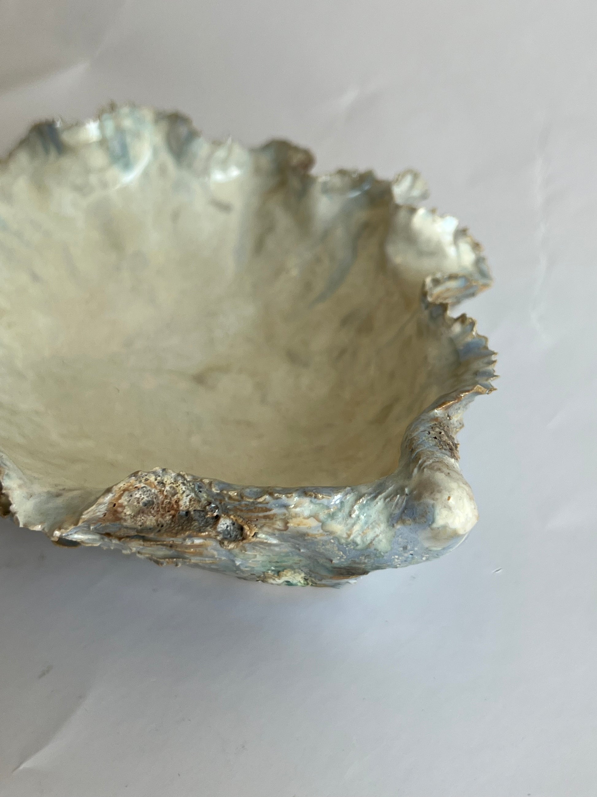 Oyster Shell Medium