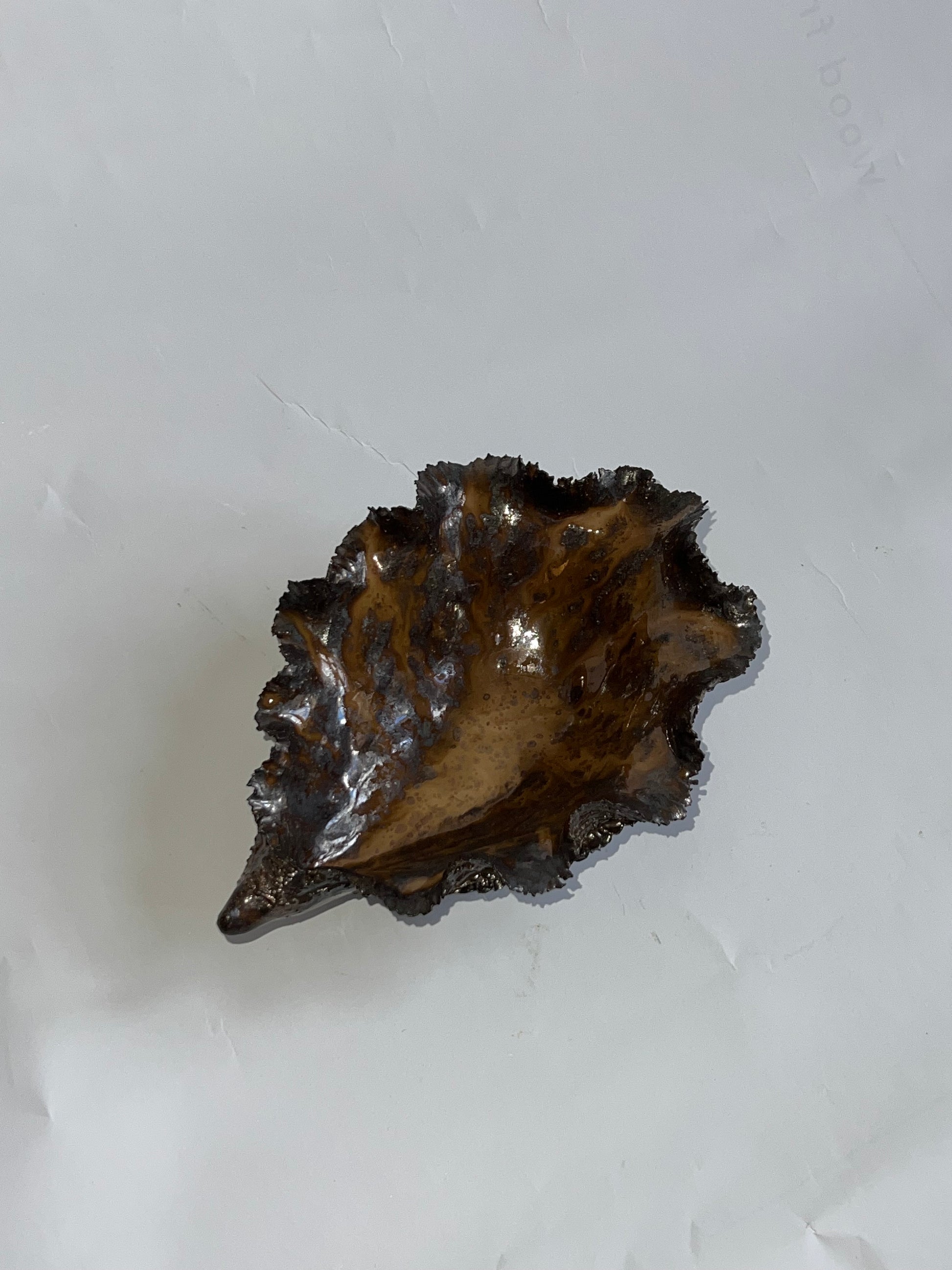 Black Oyster Shell
