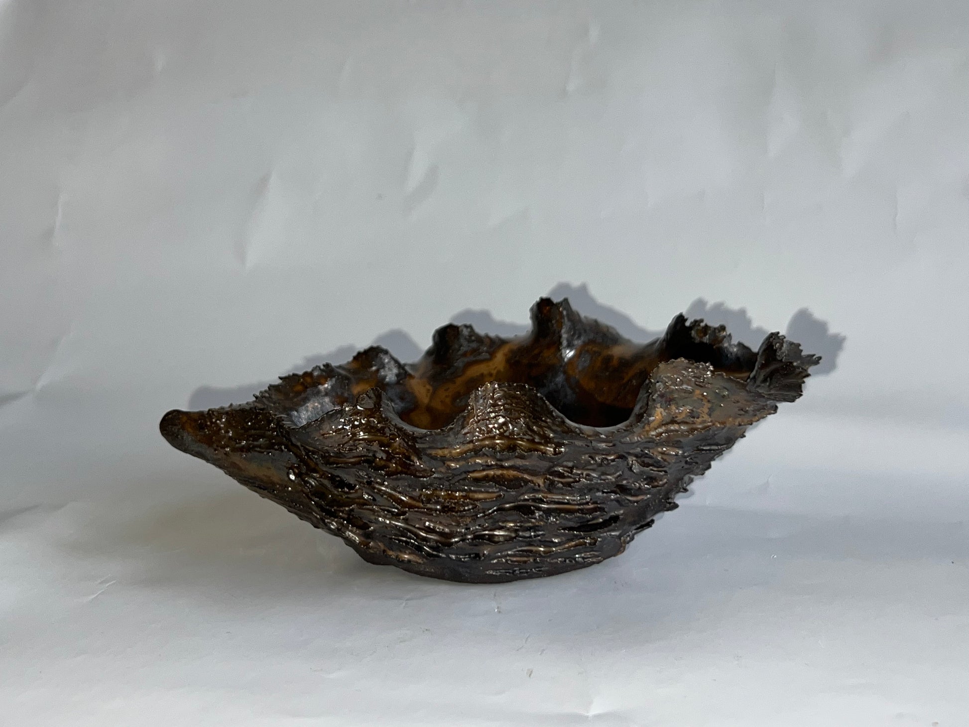 Black Oyster Shell