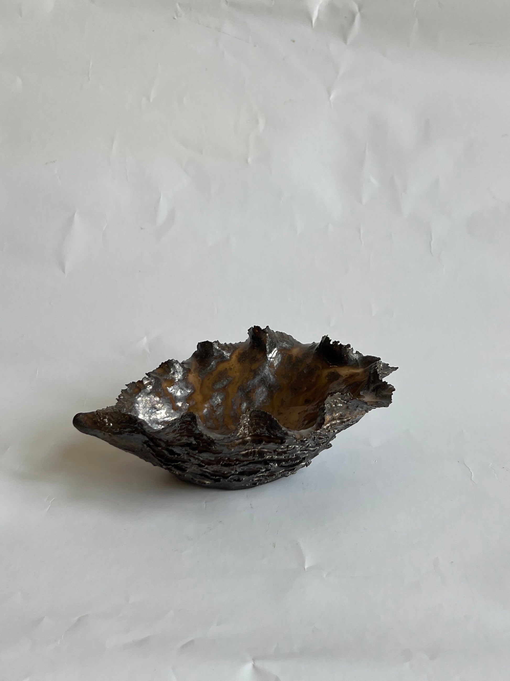 Black Oyster Shell