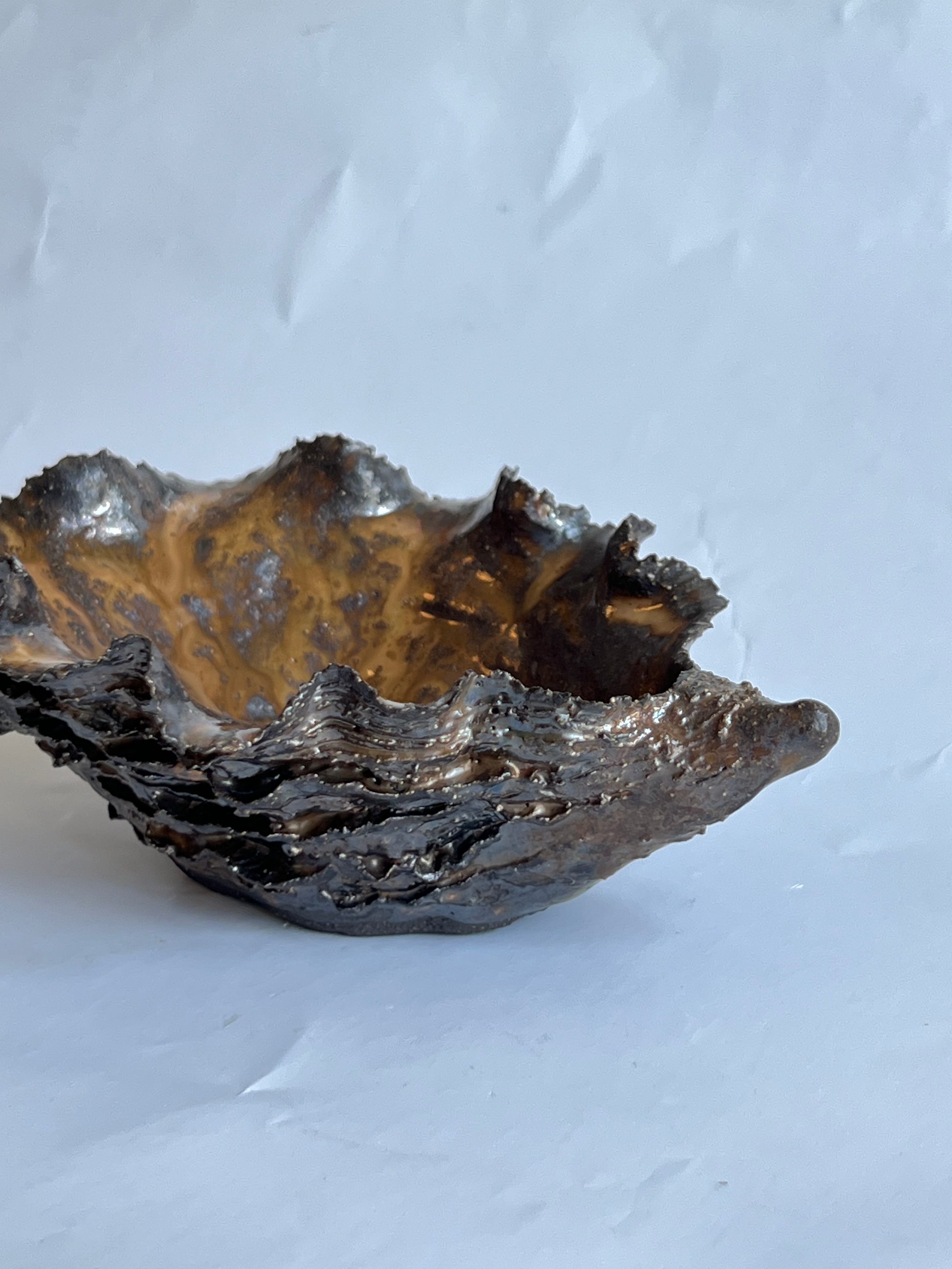 Black Oyster Shell