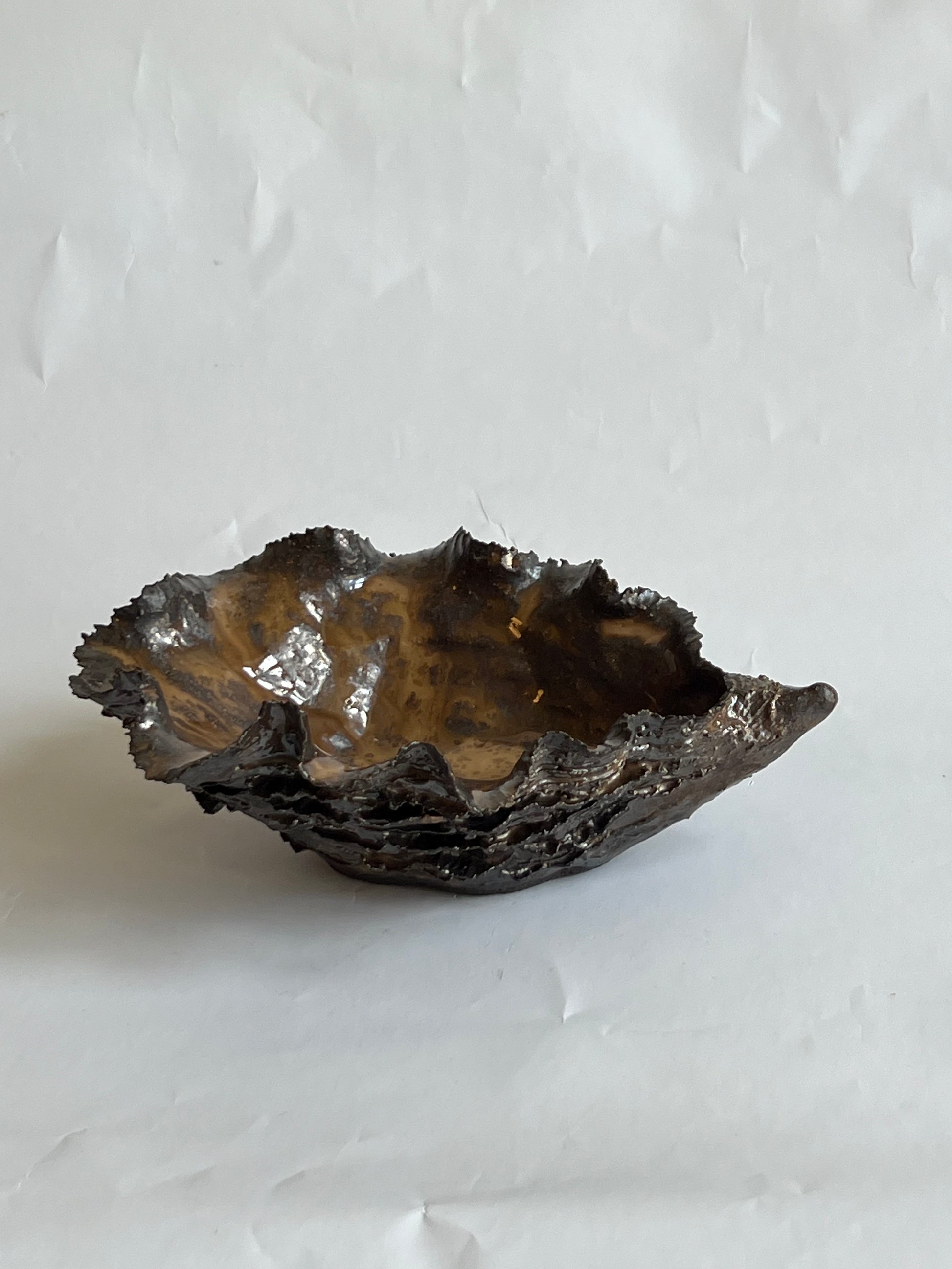 Black Oyster Shell