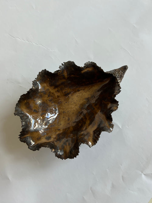 Black Oyster Shell