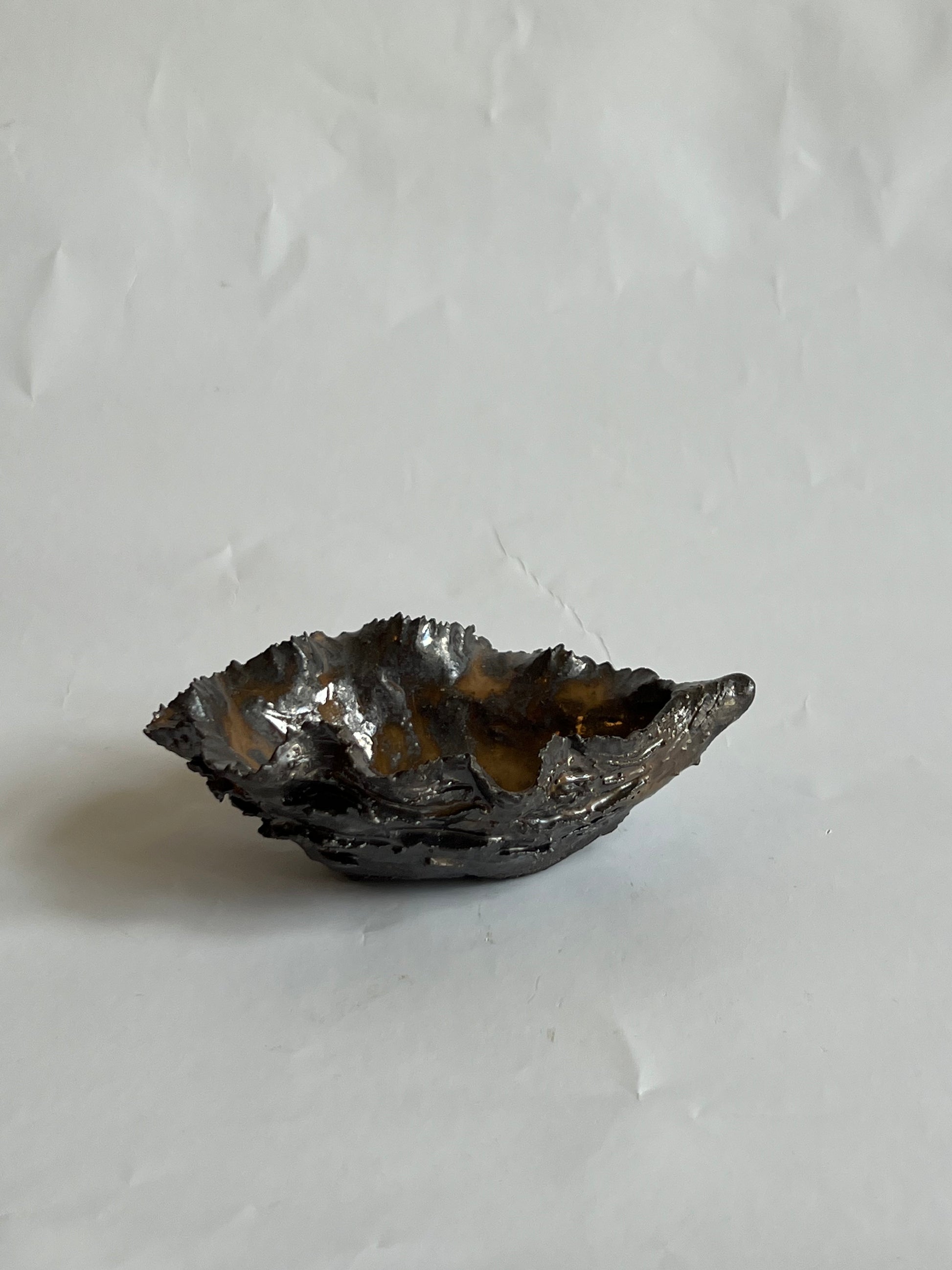 Black Oyster Shell
