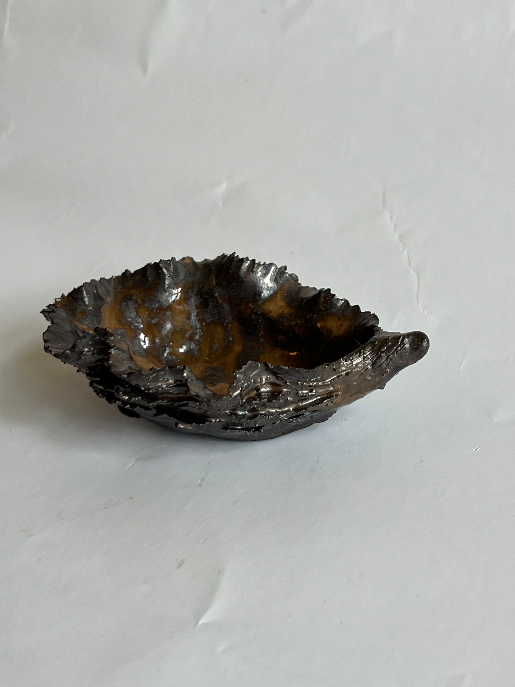 Black Oyster Shell