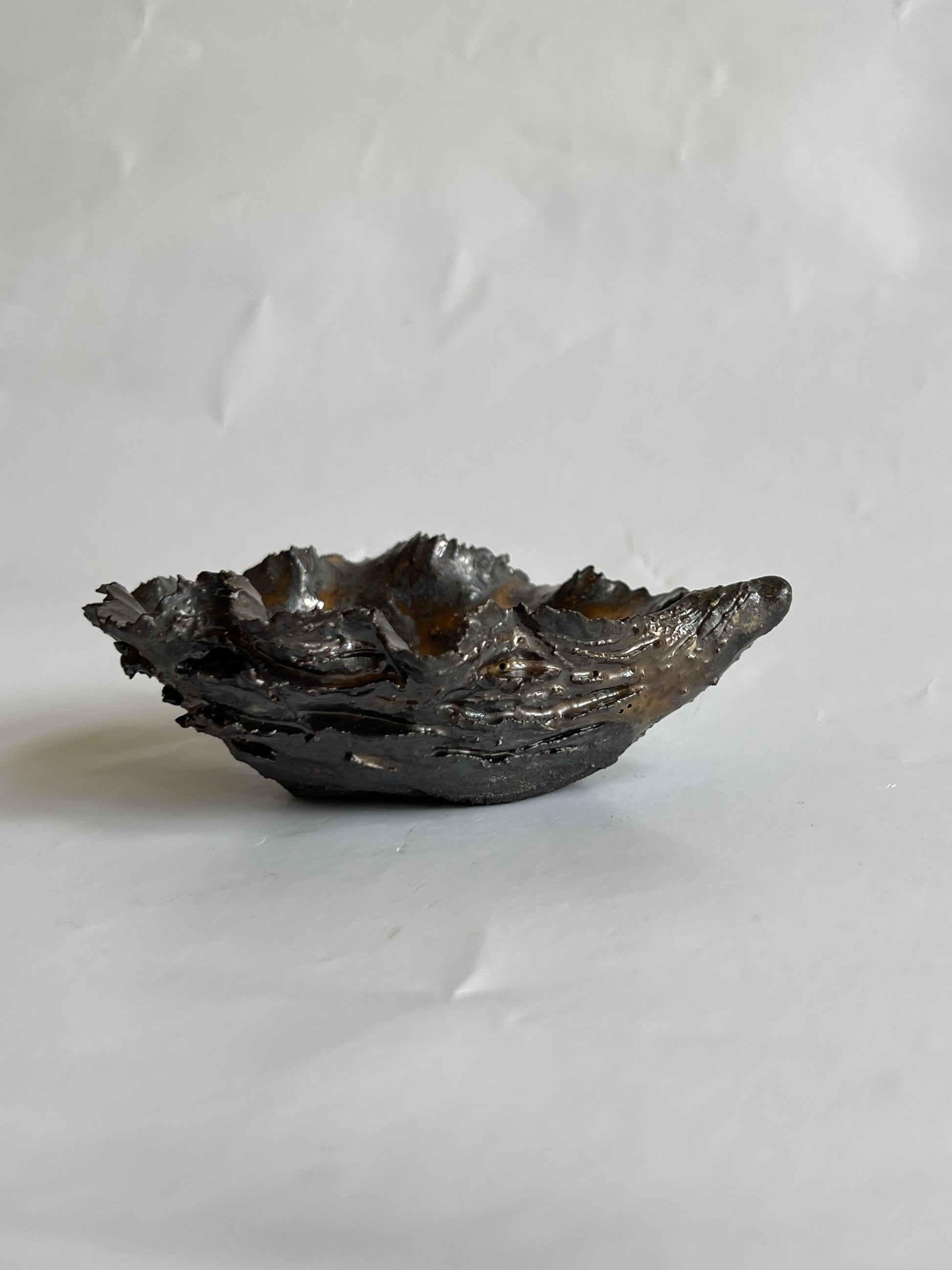 Black Oyster Shell