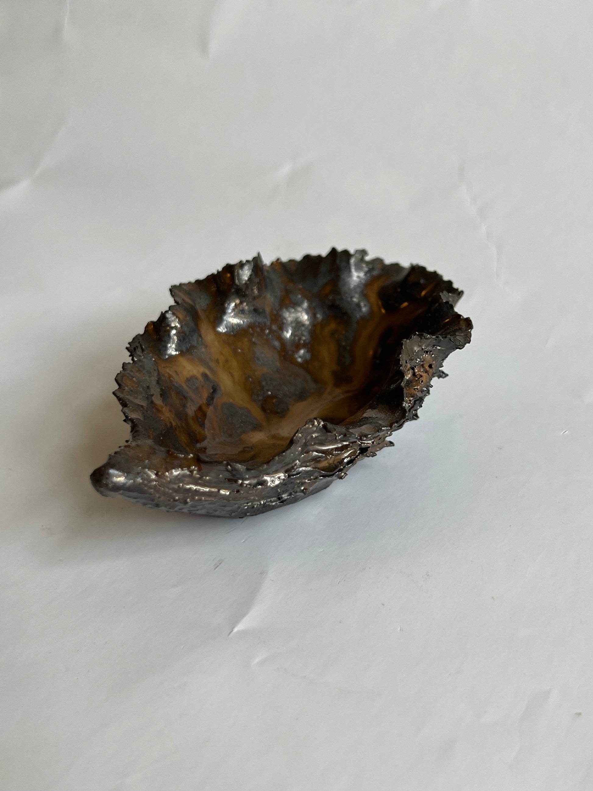 Black Oyster Shell