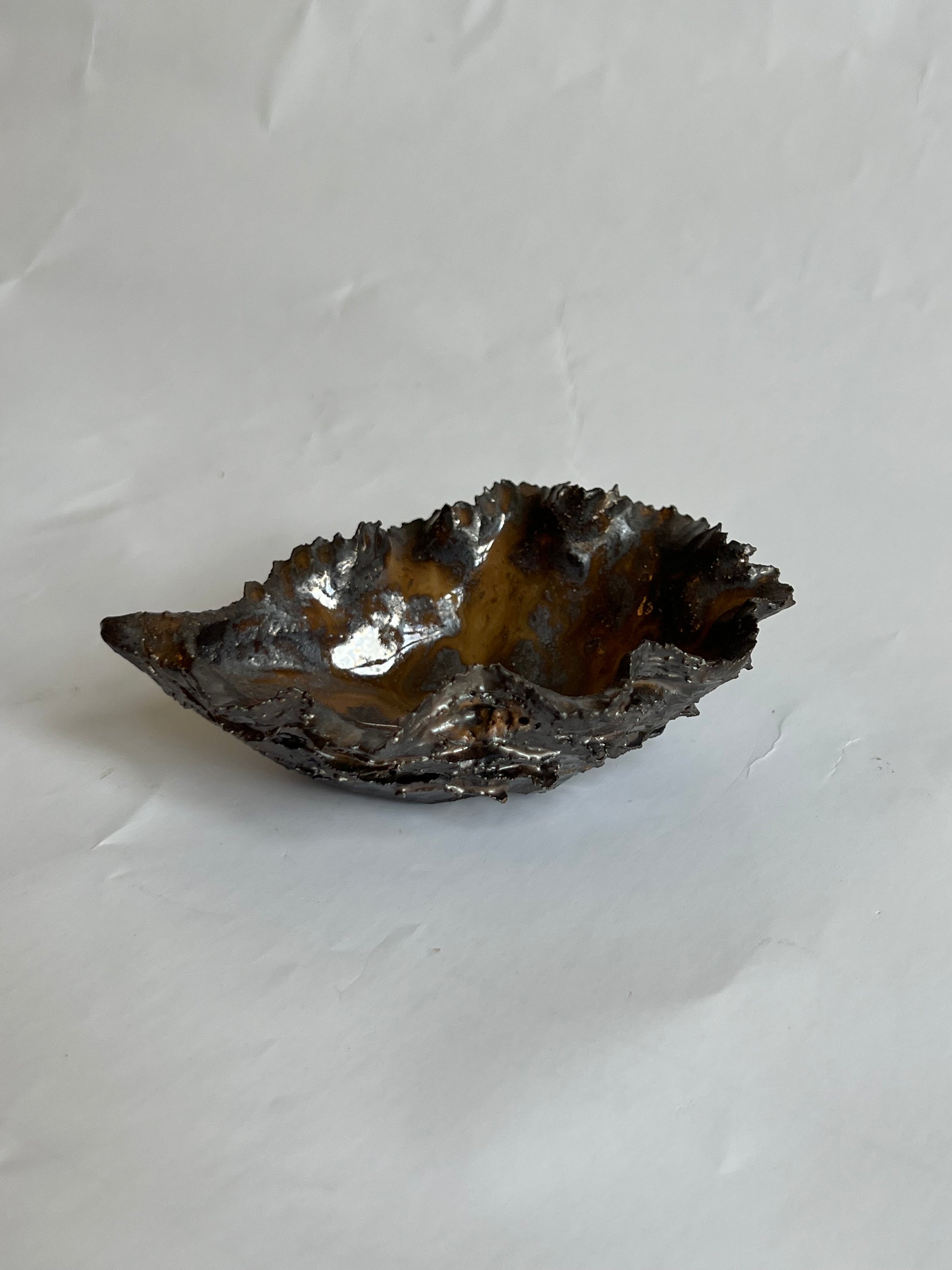 Black Oyster Shell