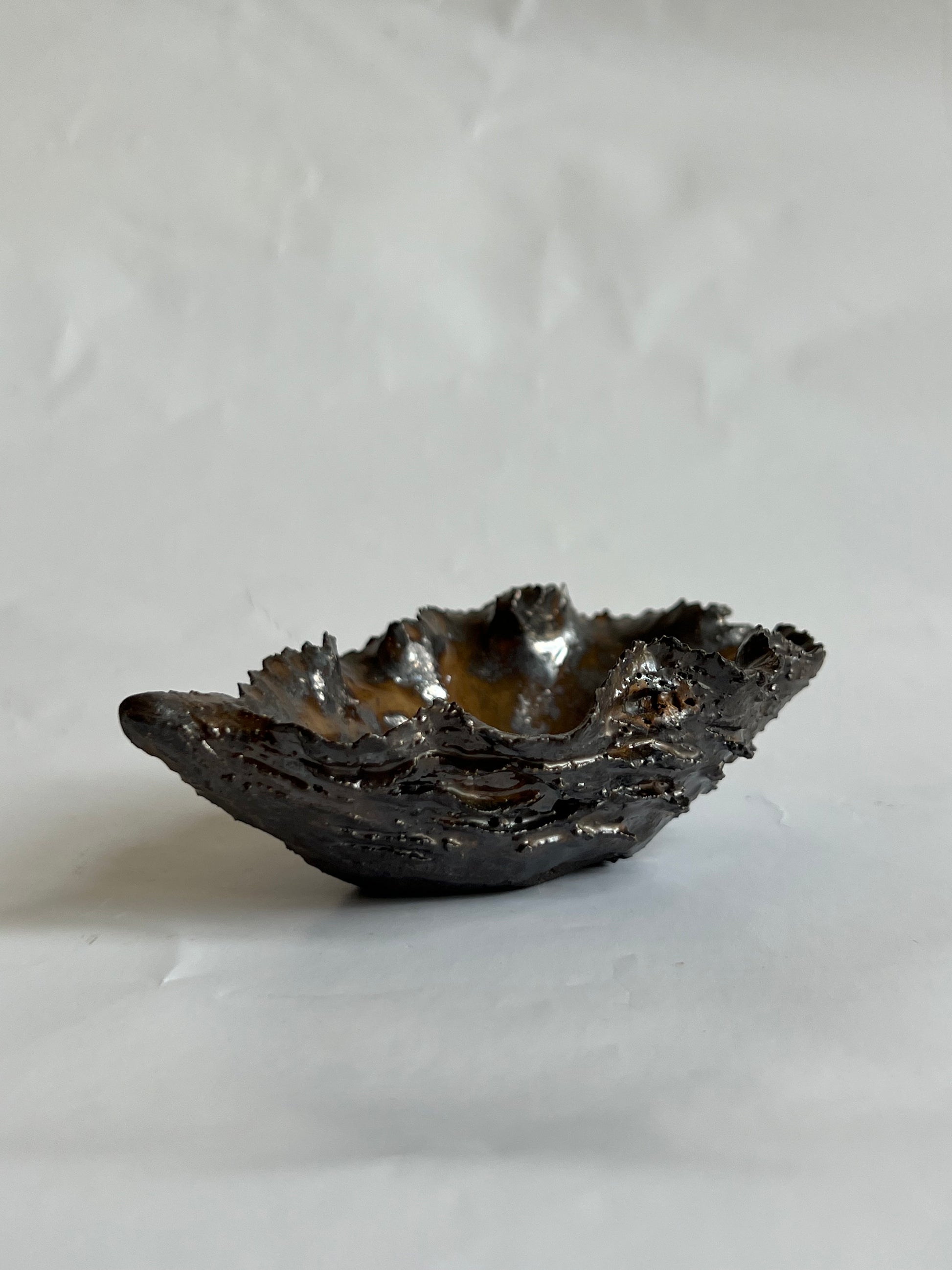 Black Oyster Shell