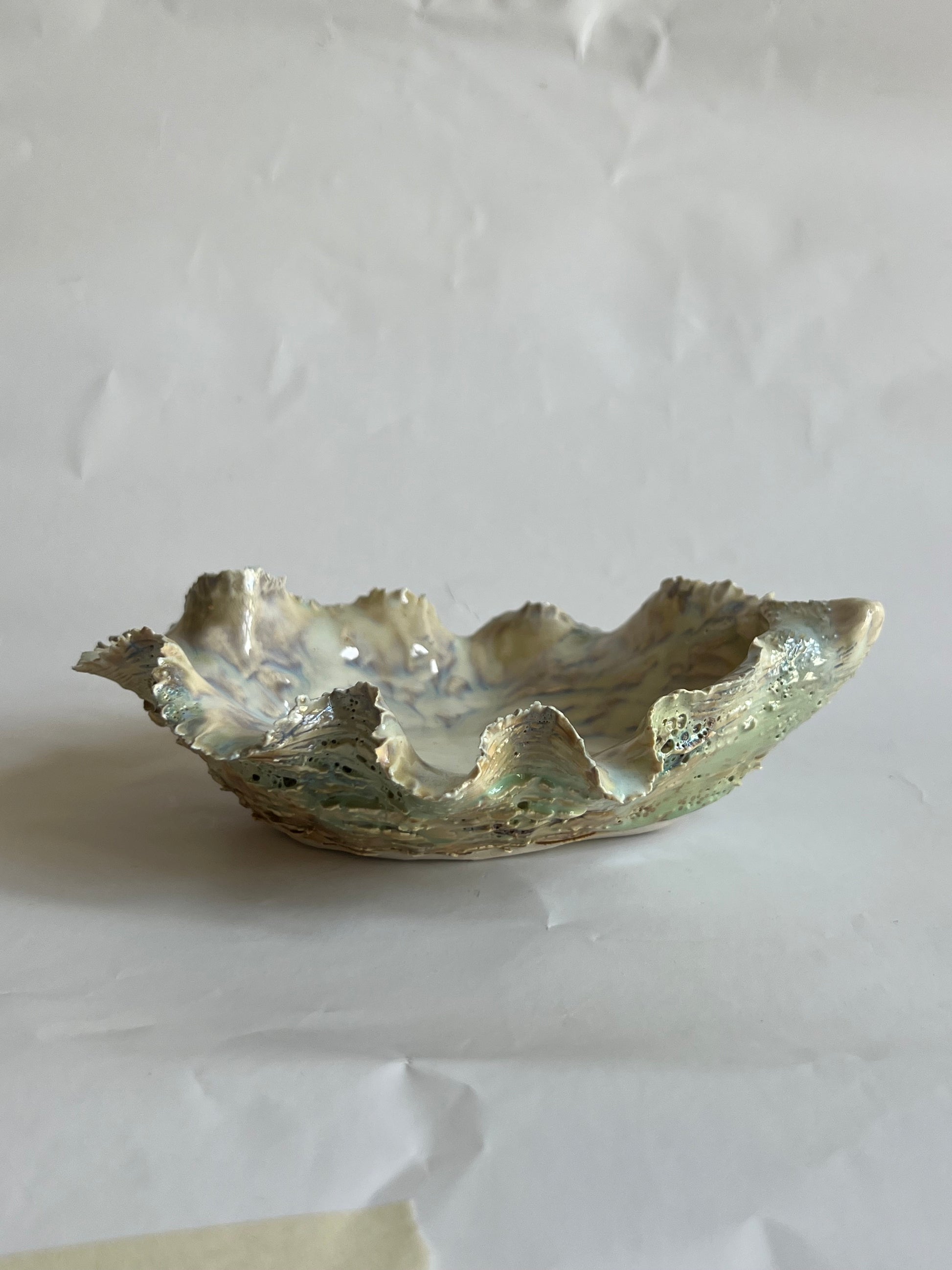 Green Oyster Shell