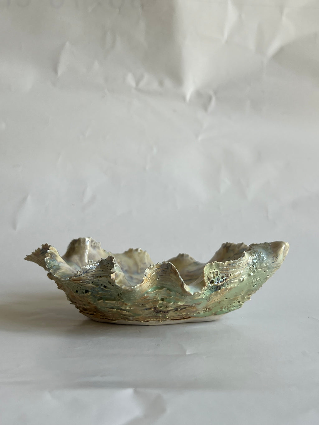 Green Oyster Shell